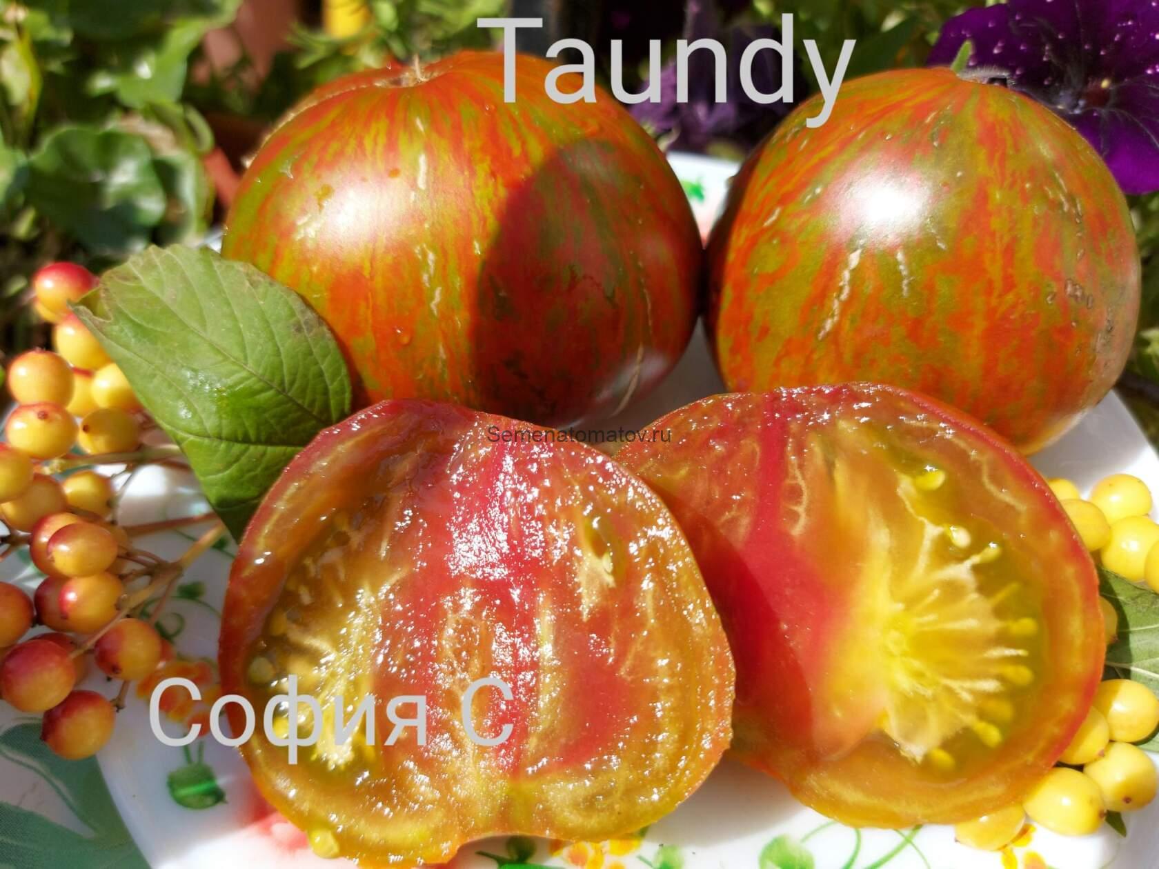 Tayin dy (Тайин ди), Франция