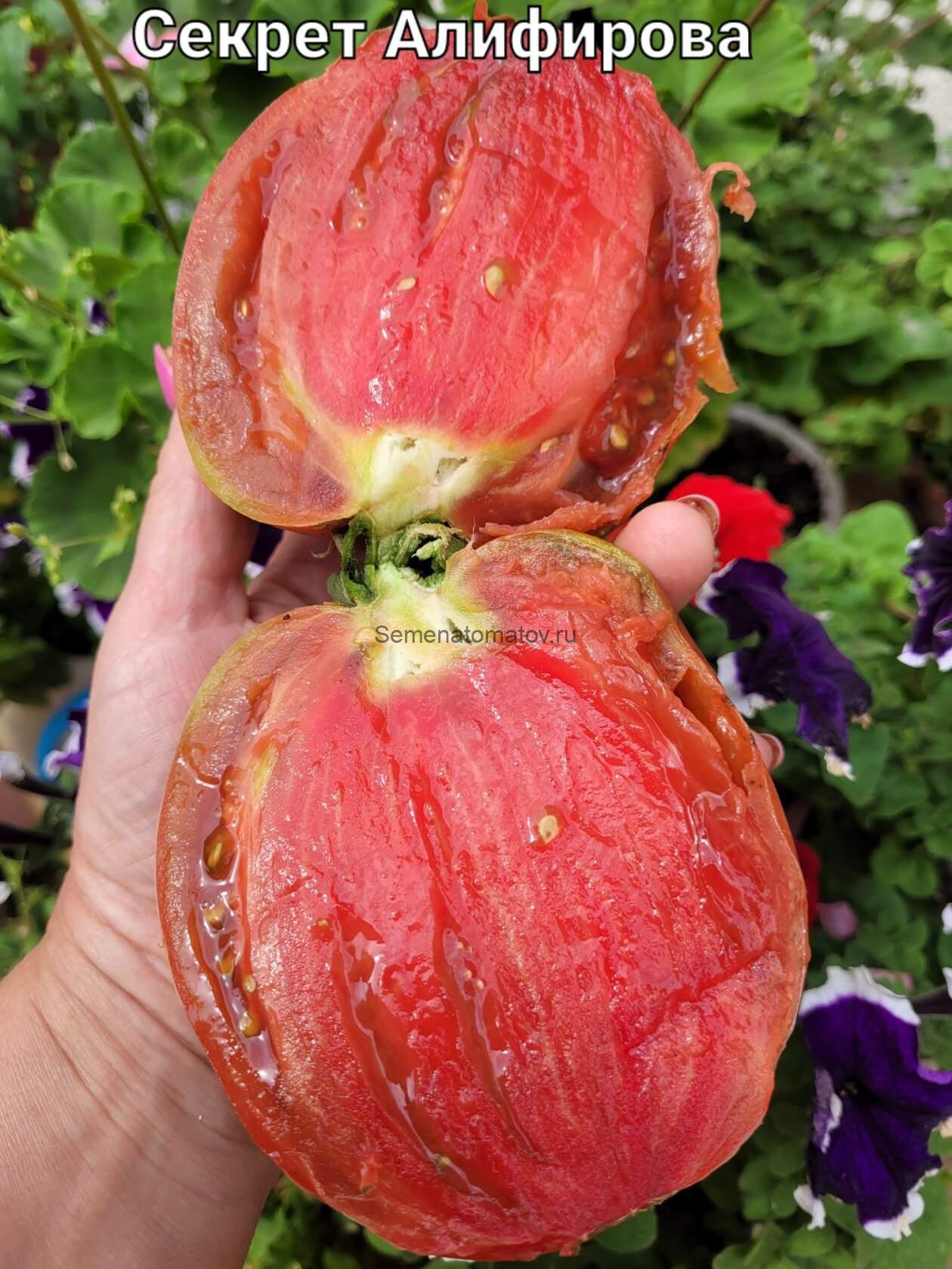 Секрет Алифирова Картофельный лист — изображение 4