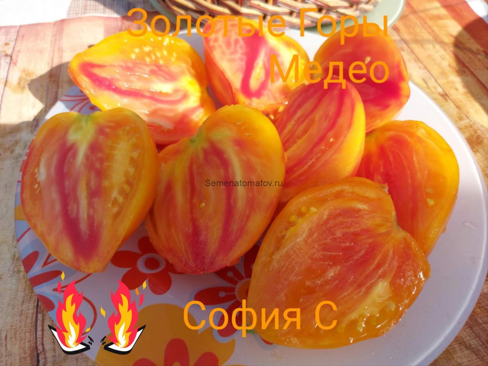 Золотые Горы Медео — изображение 2