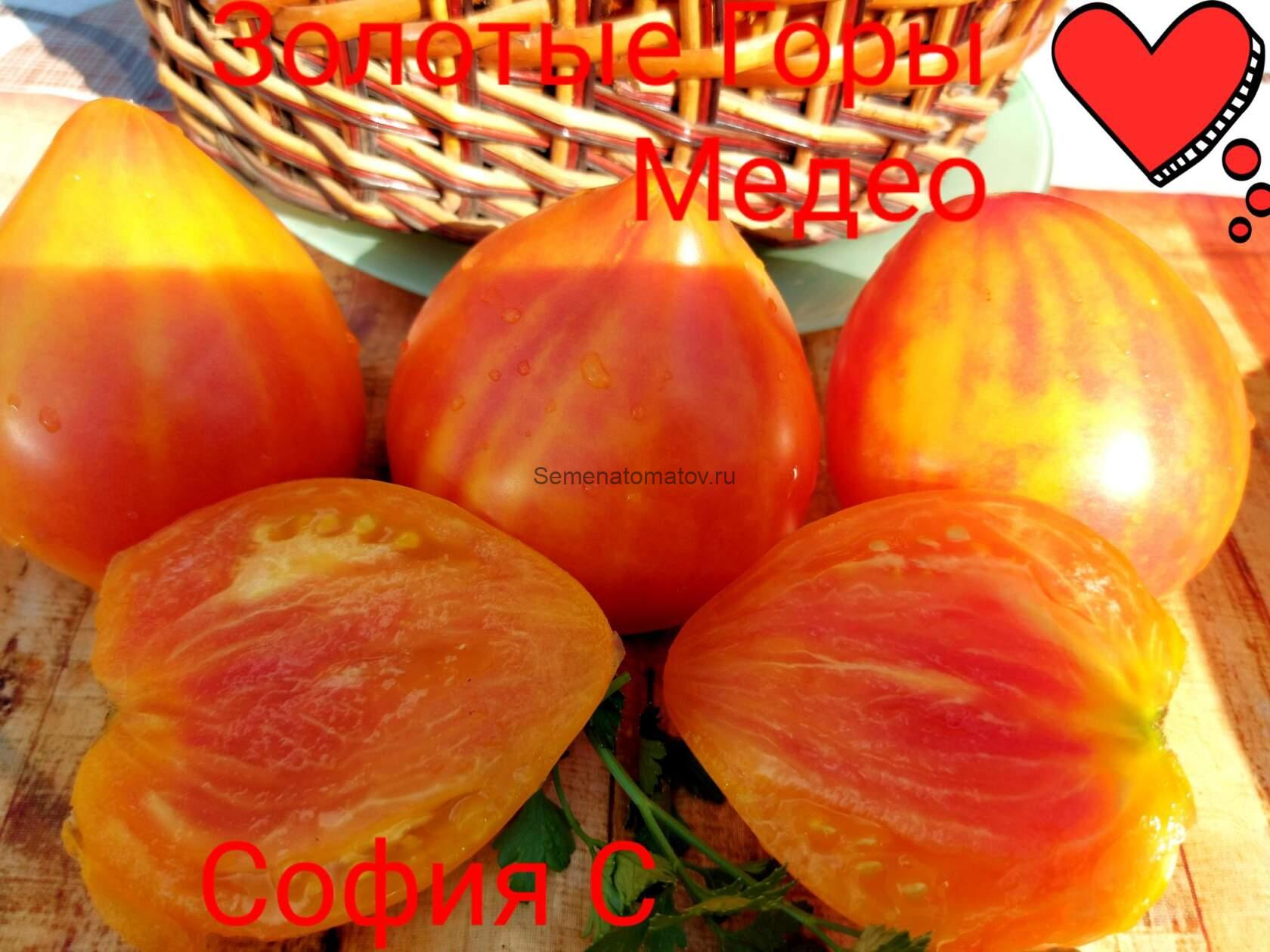 Золотые Горы Медео — изображение 3