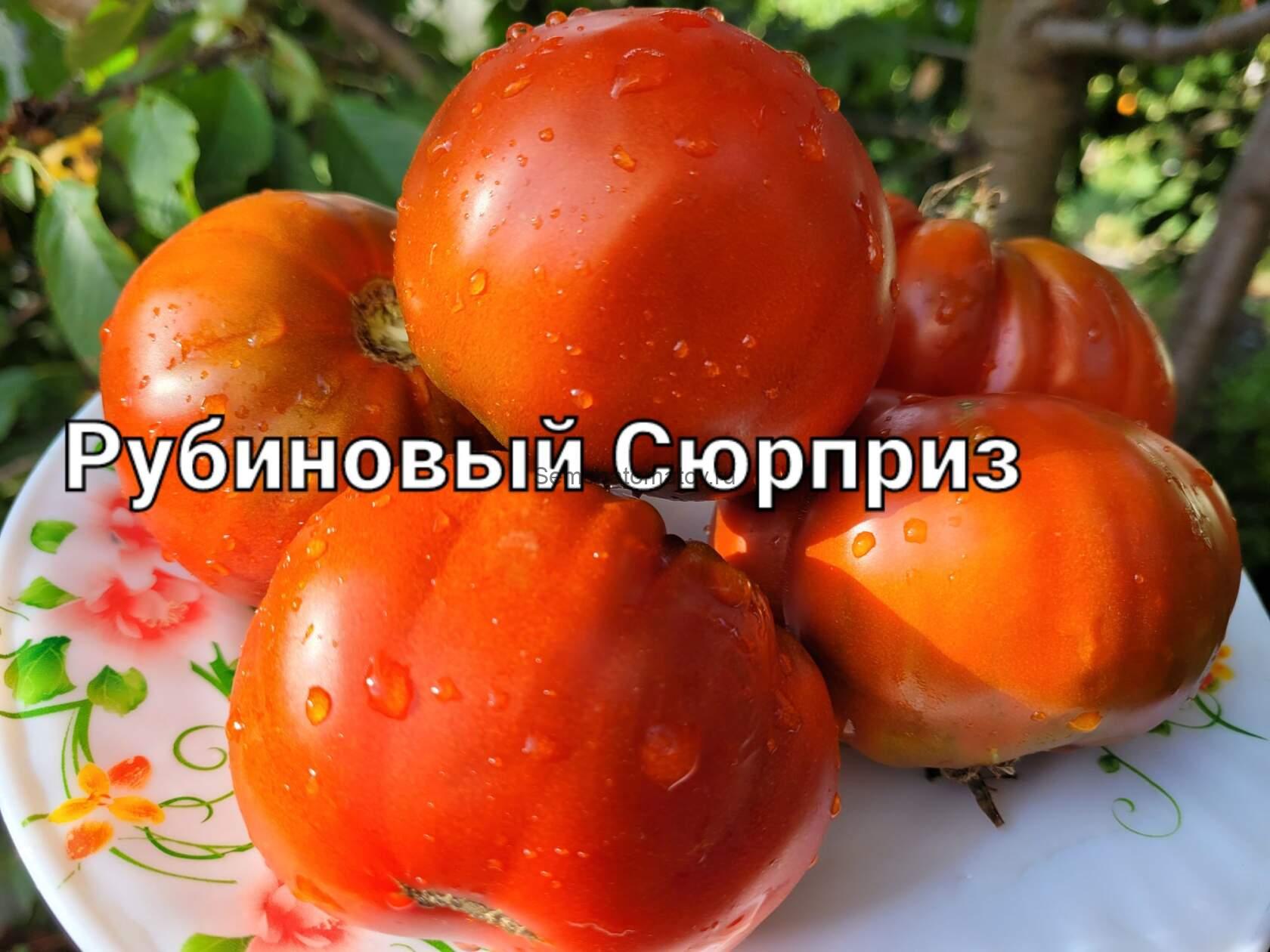 Ruby Surprise (Рубиновый сюрприз)Польша