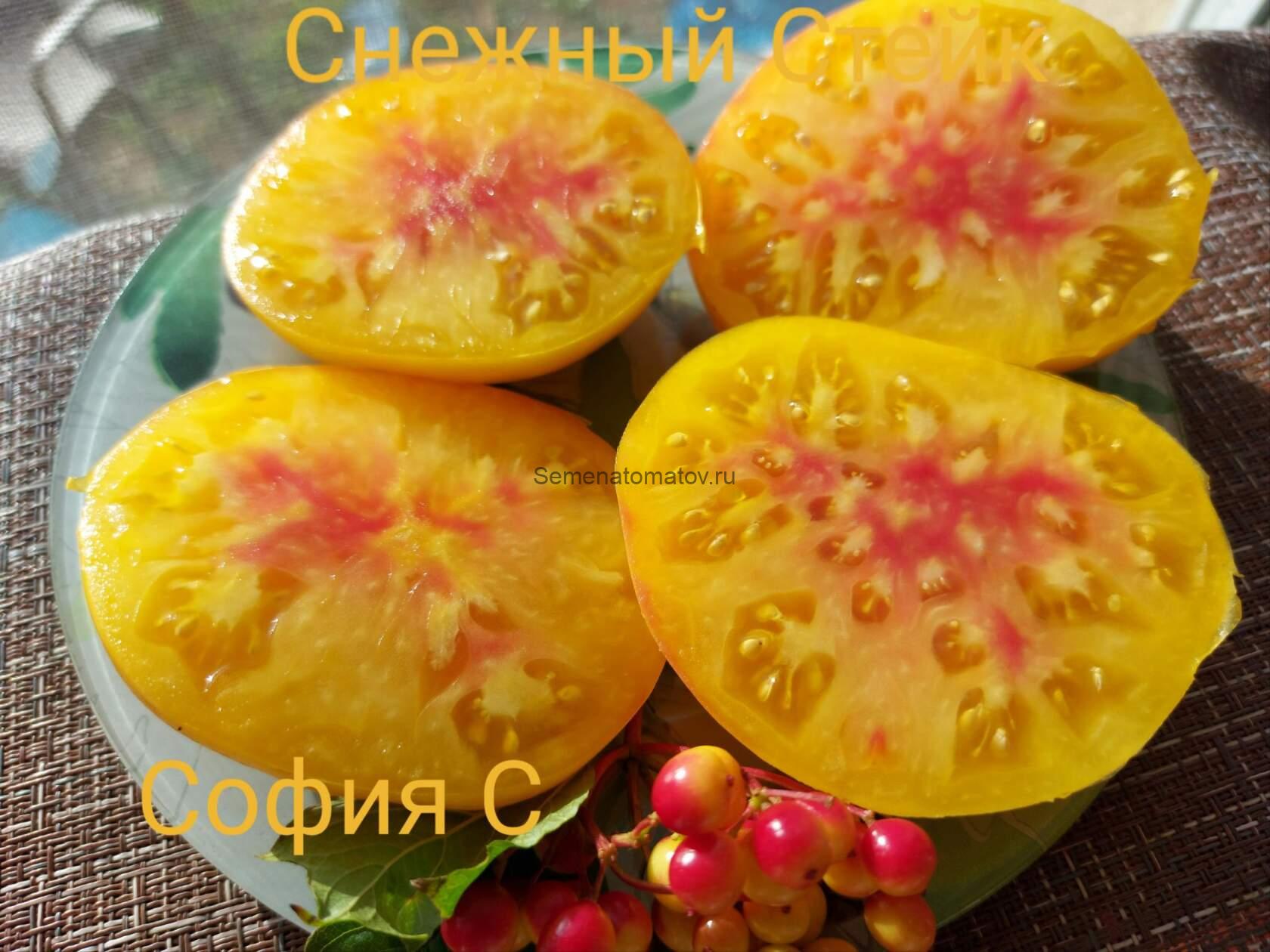 Snow Steak Снежный Стейк — изображение 2