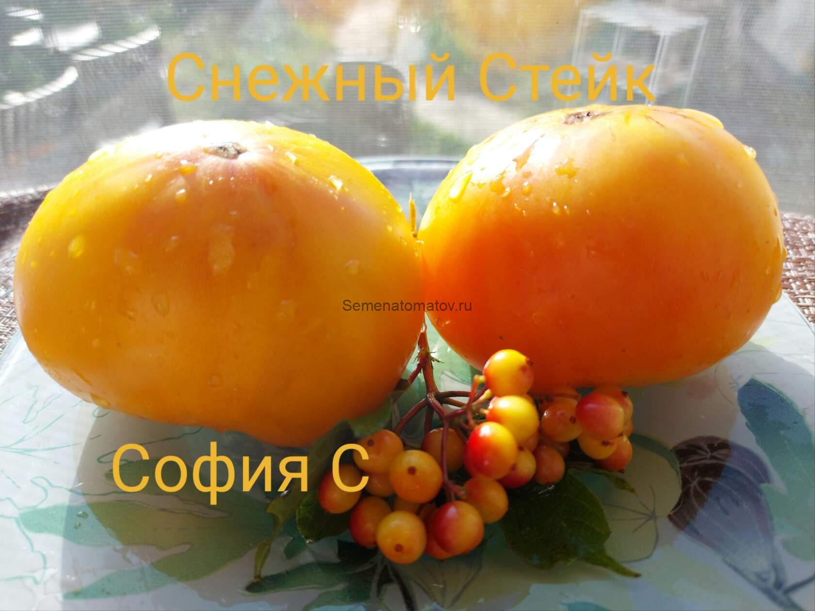 Snow Steak Снежный Стейк