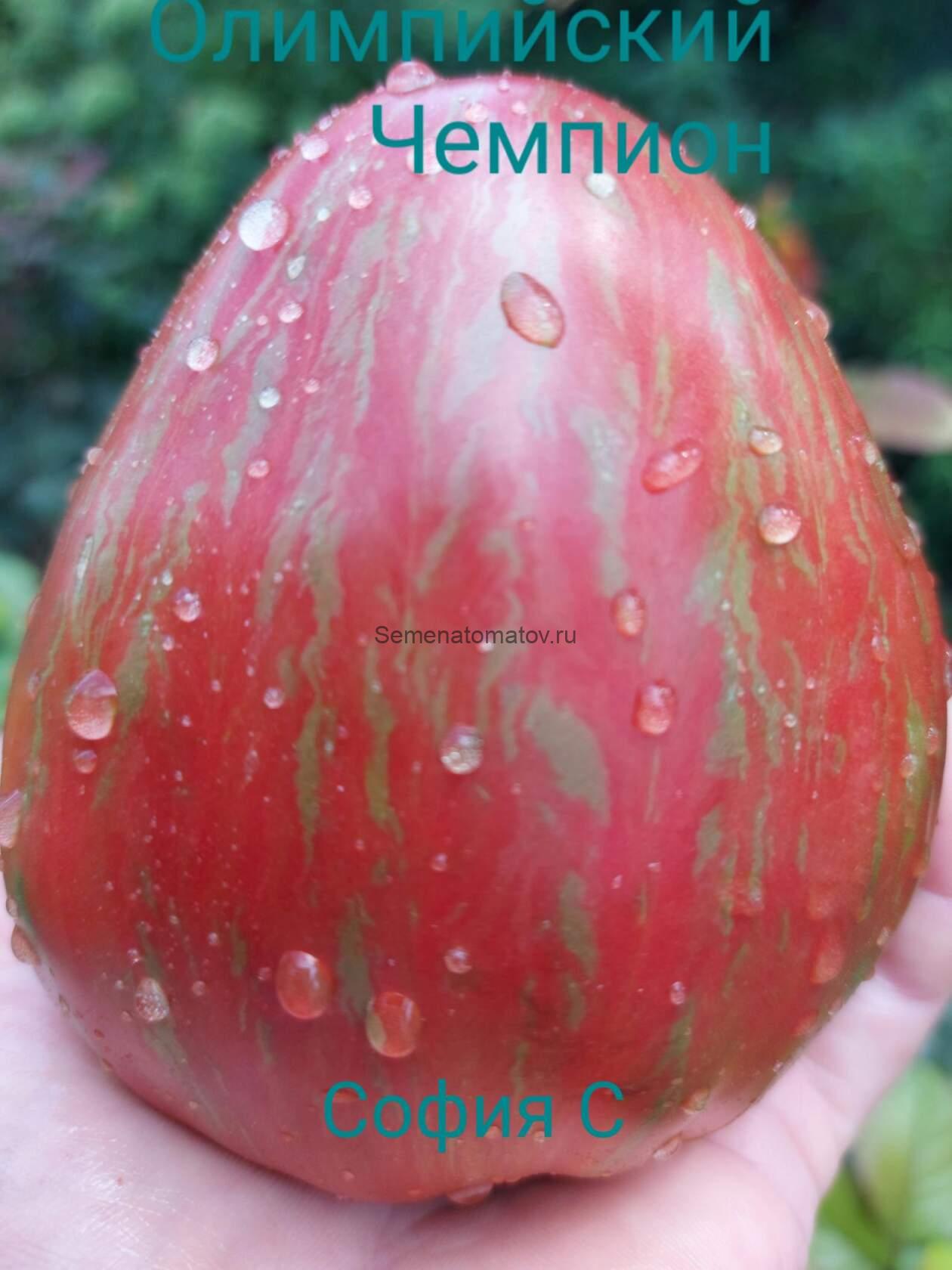 Олимпийский Чемпион