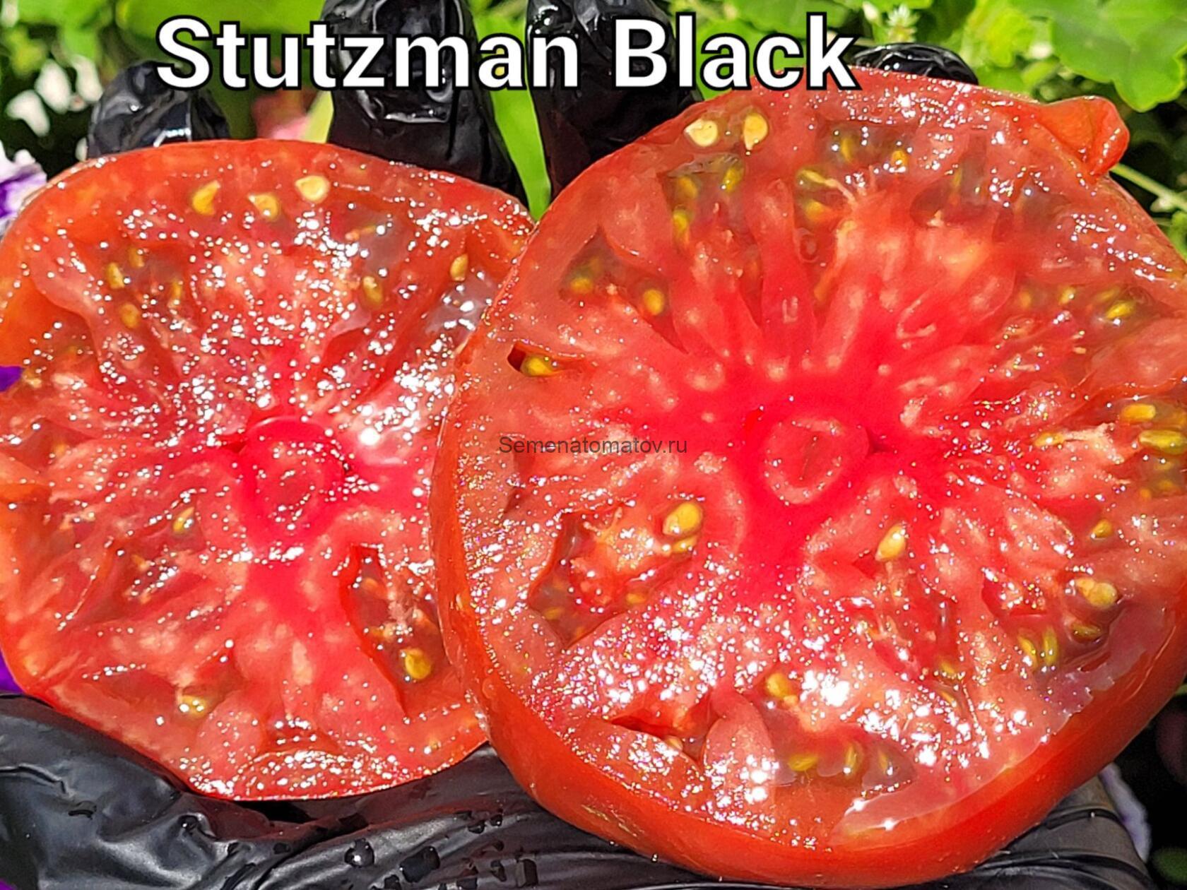 Stutzman Black Штутцман Черный