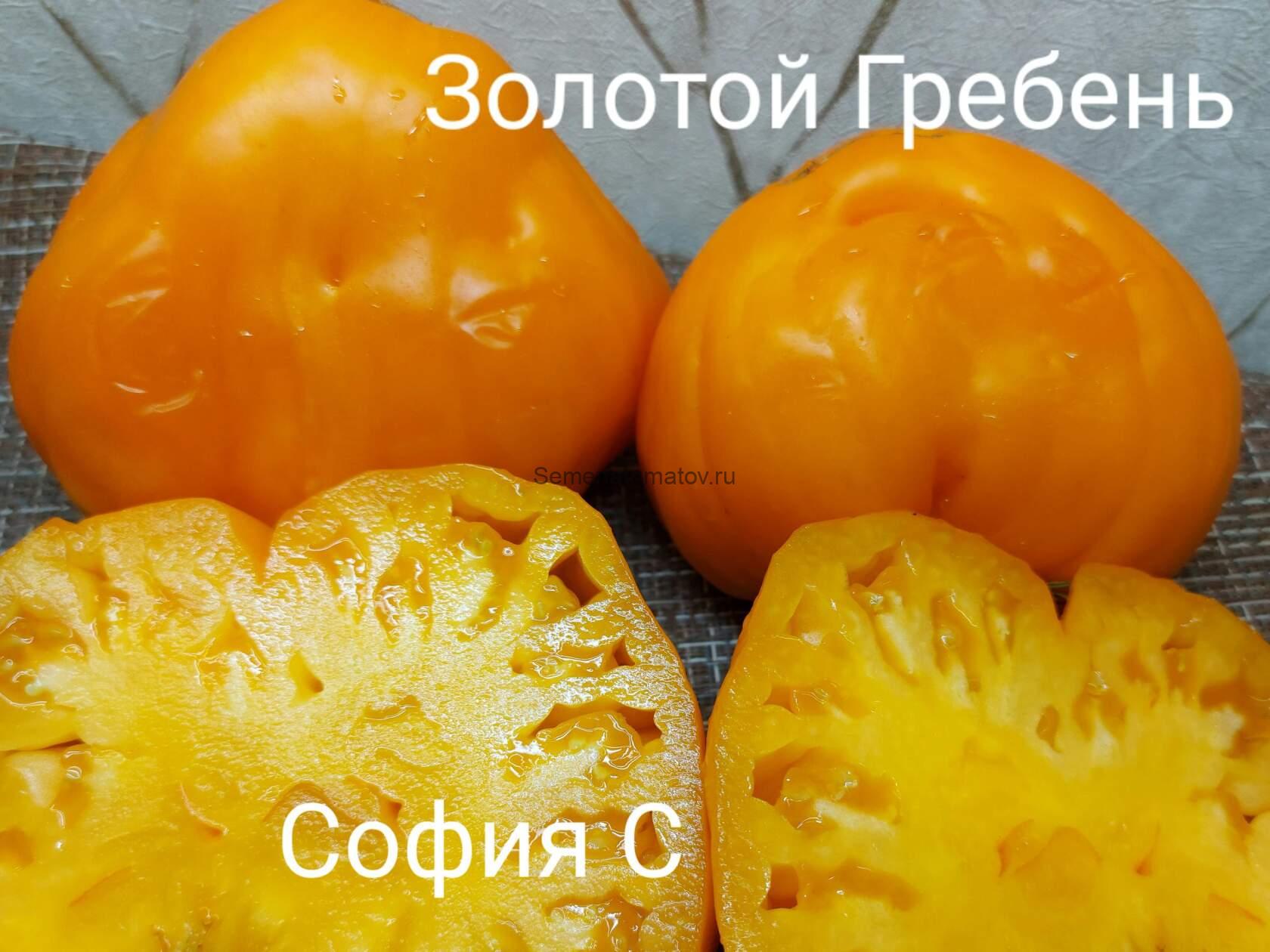 Cresta di Oro (Золотой гребень) — изображение 2