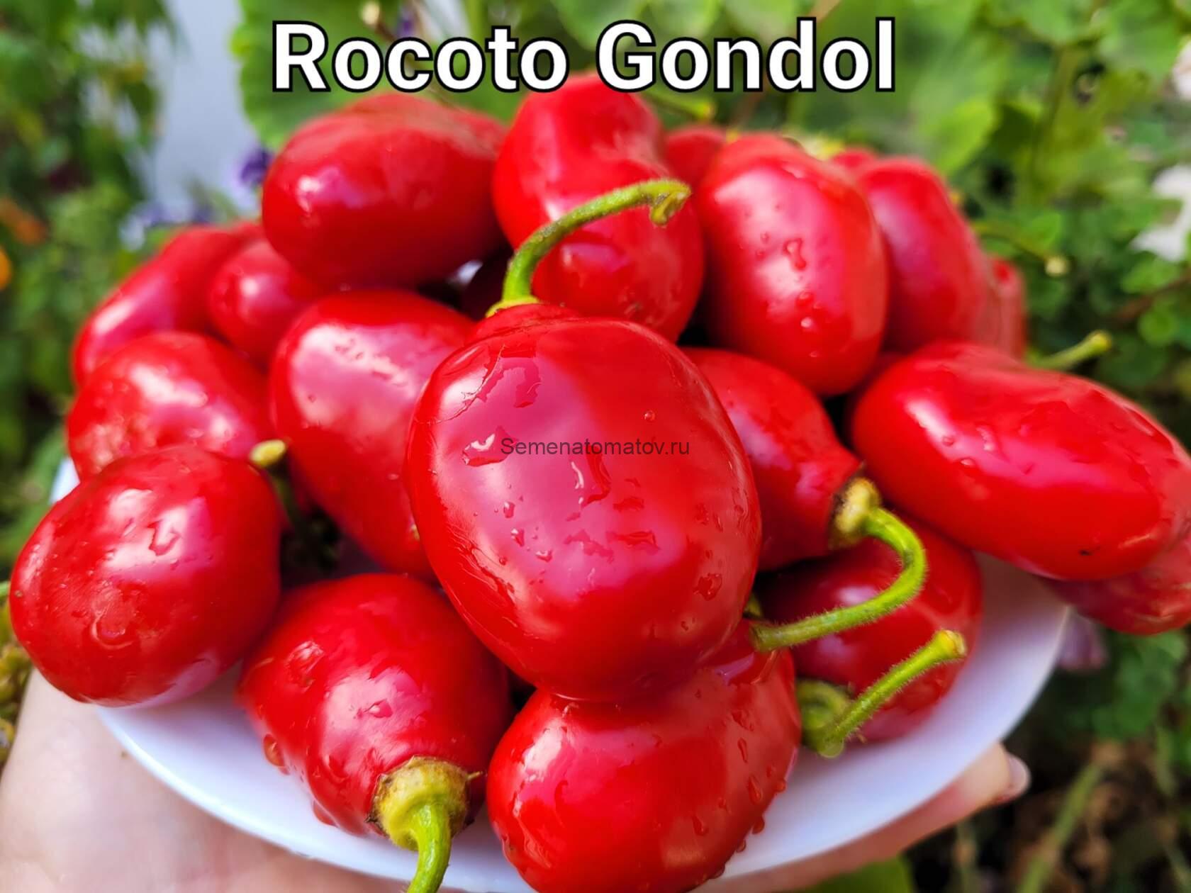 Rocoto Gondol