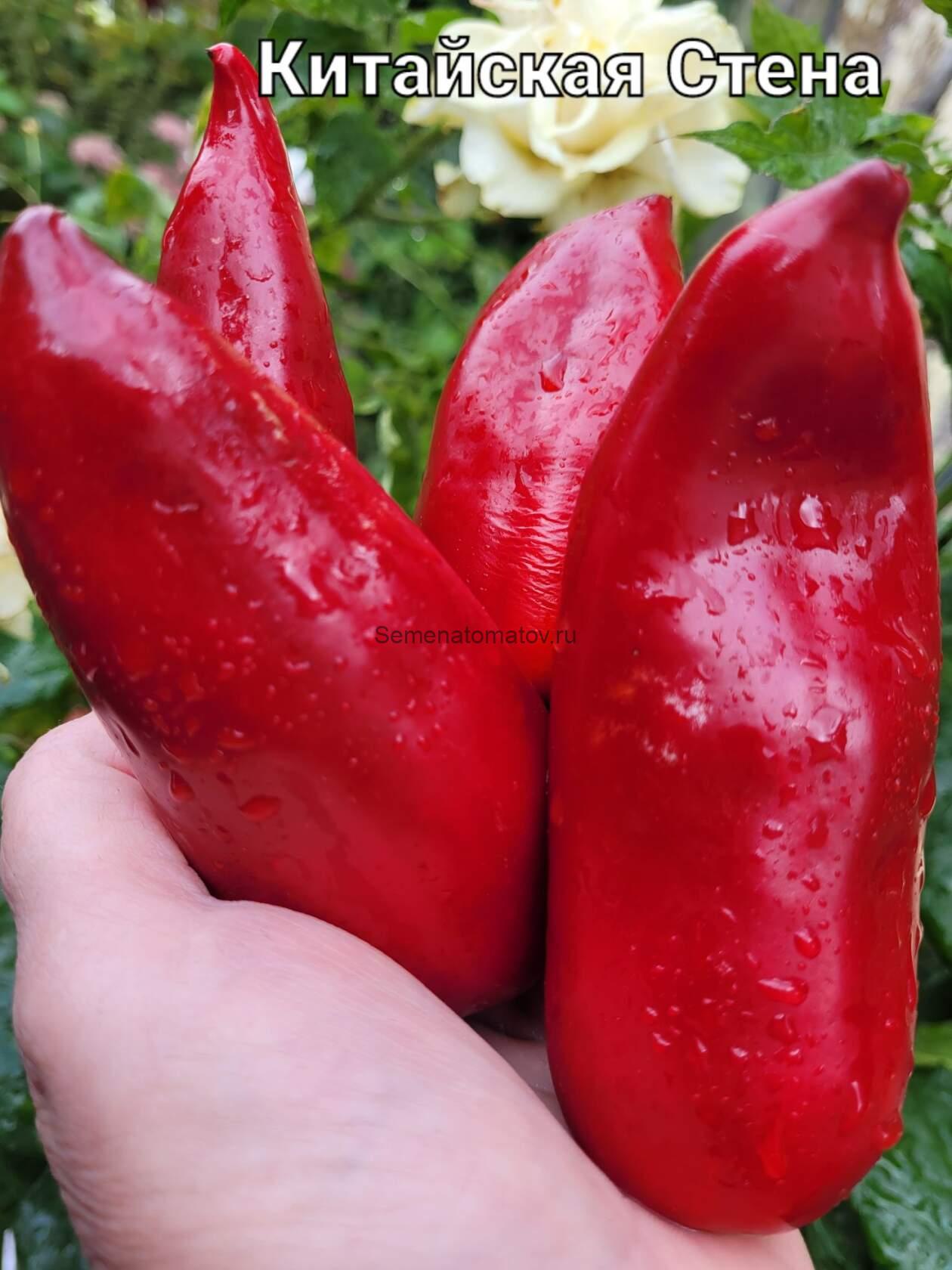 Китайская Стена