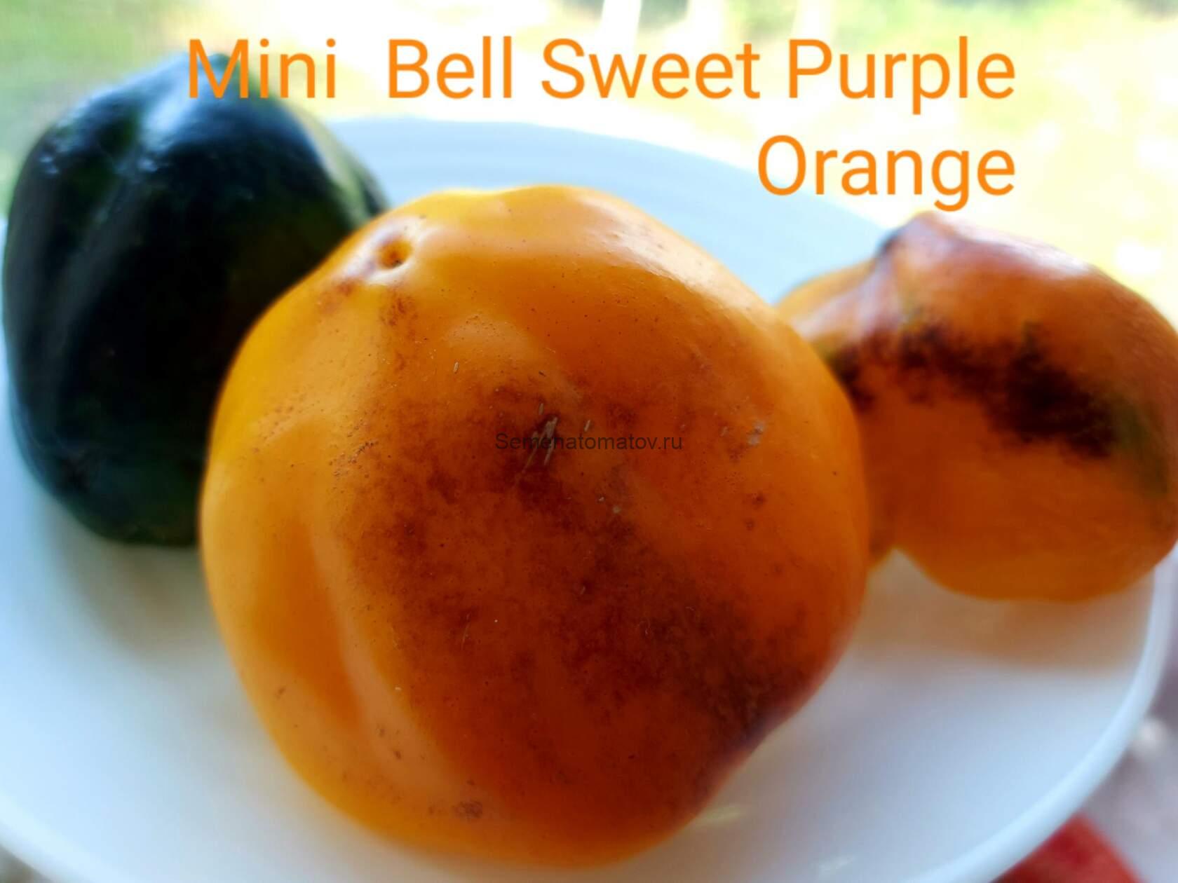 Mini Bell Sweet Purple Orange