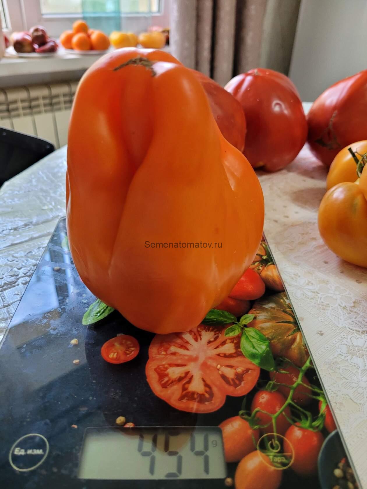 Cresta di Oro (Золотой гребень) — изображение 3