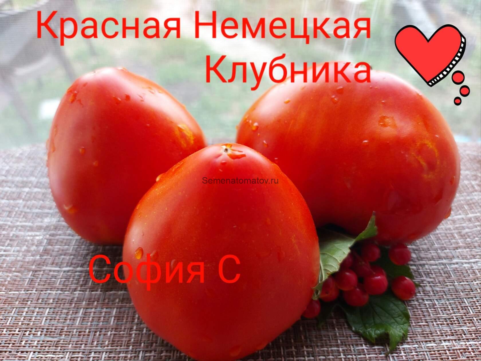 Клубника  Немецкая Красная