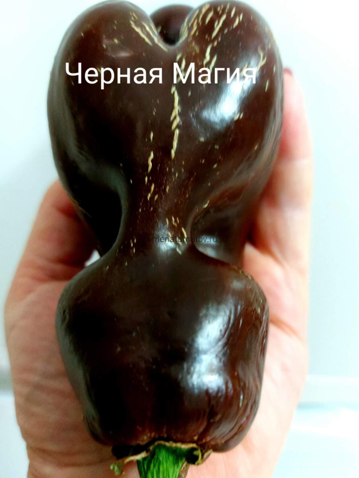 Черная Магия