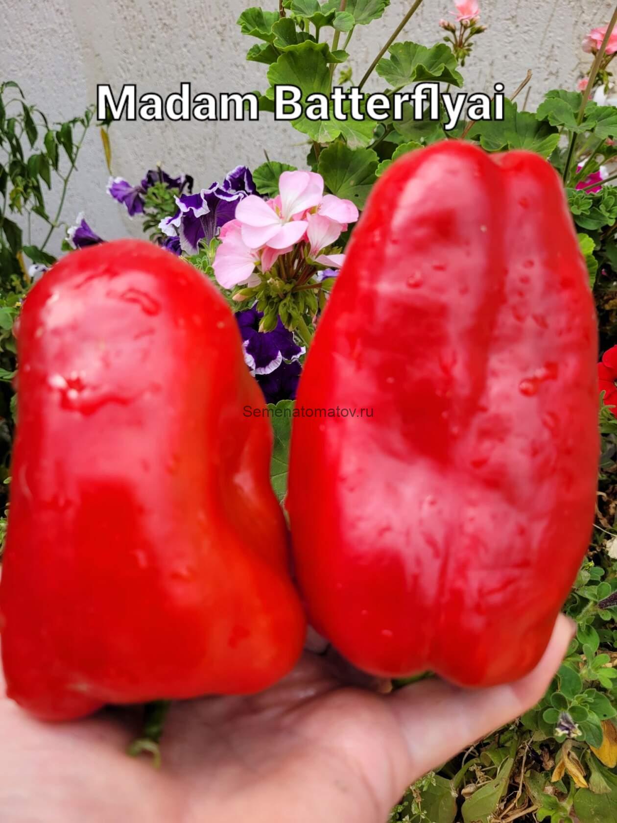 Мадам Баттерфляй