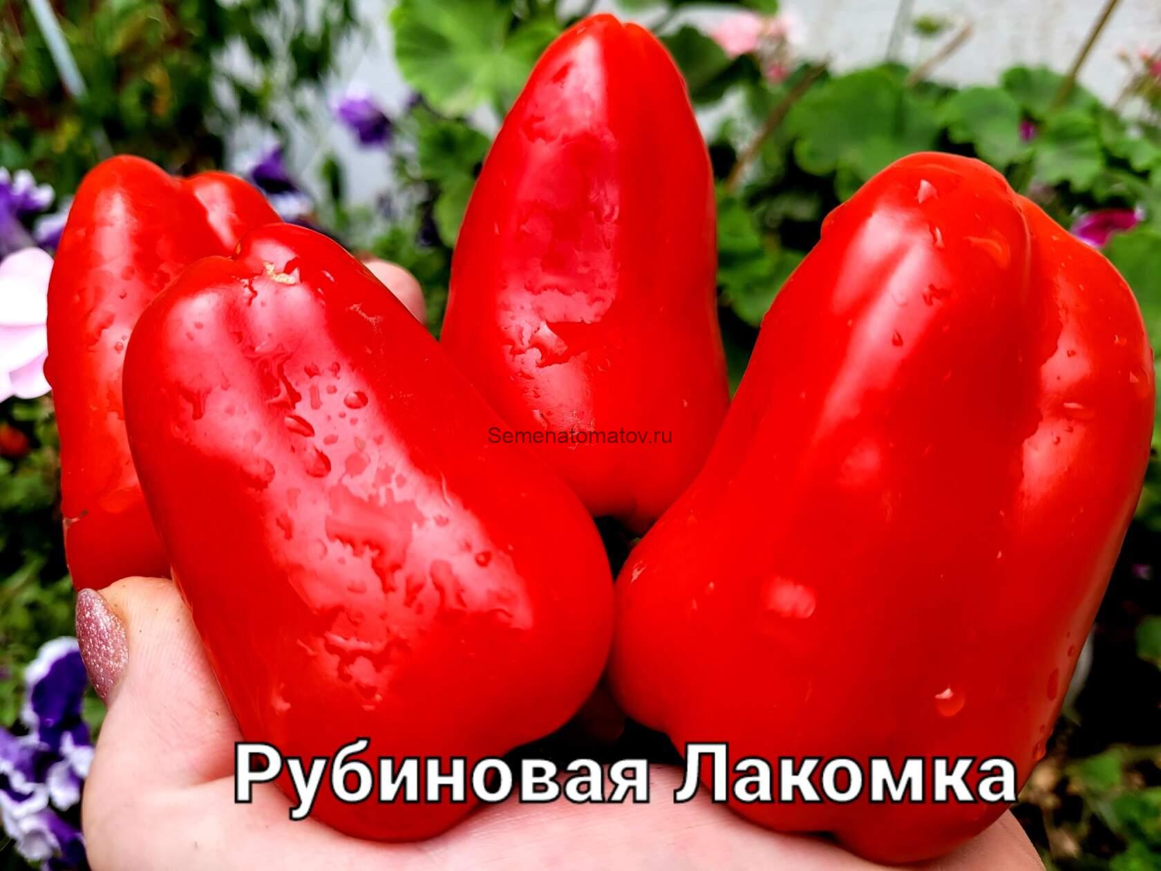 Рубиновая Лакомка