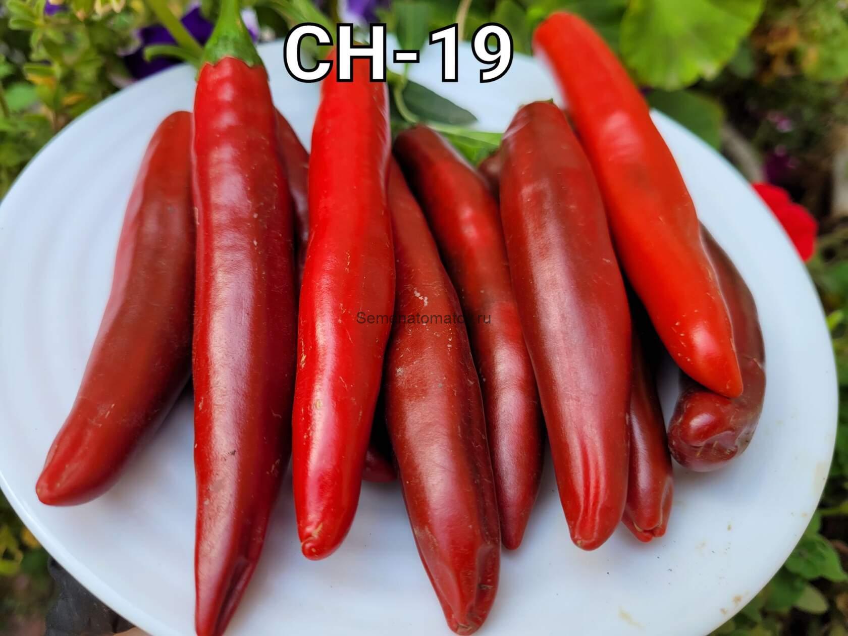 CH-19 — изображение 2