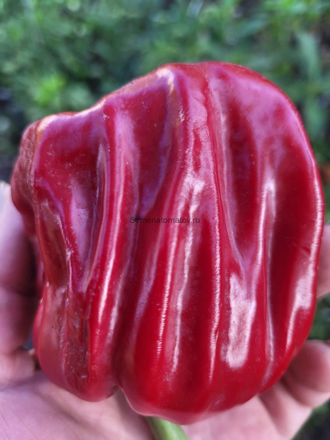 Diamond Pepper Бриллиантовый Перец