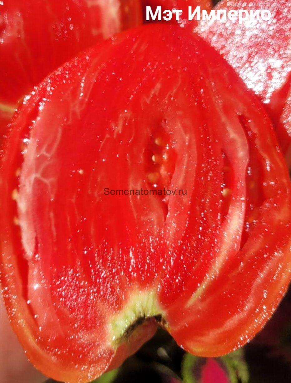 Matt d'Imperio (Мэт Империо) — изображение 3