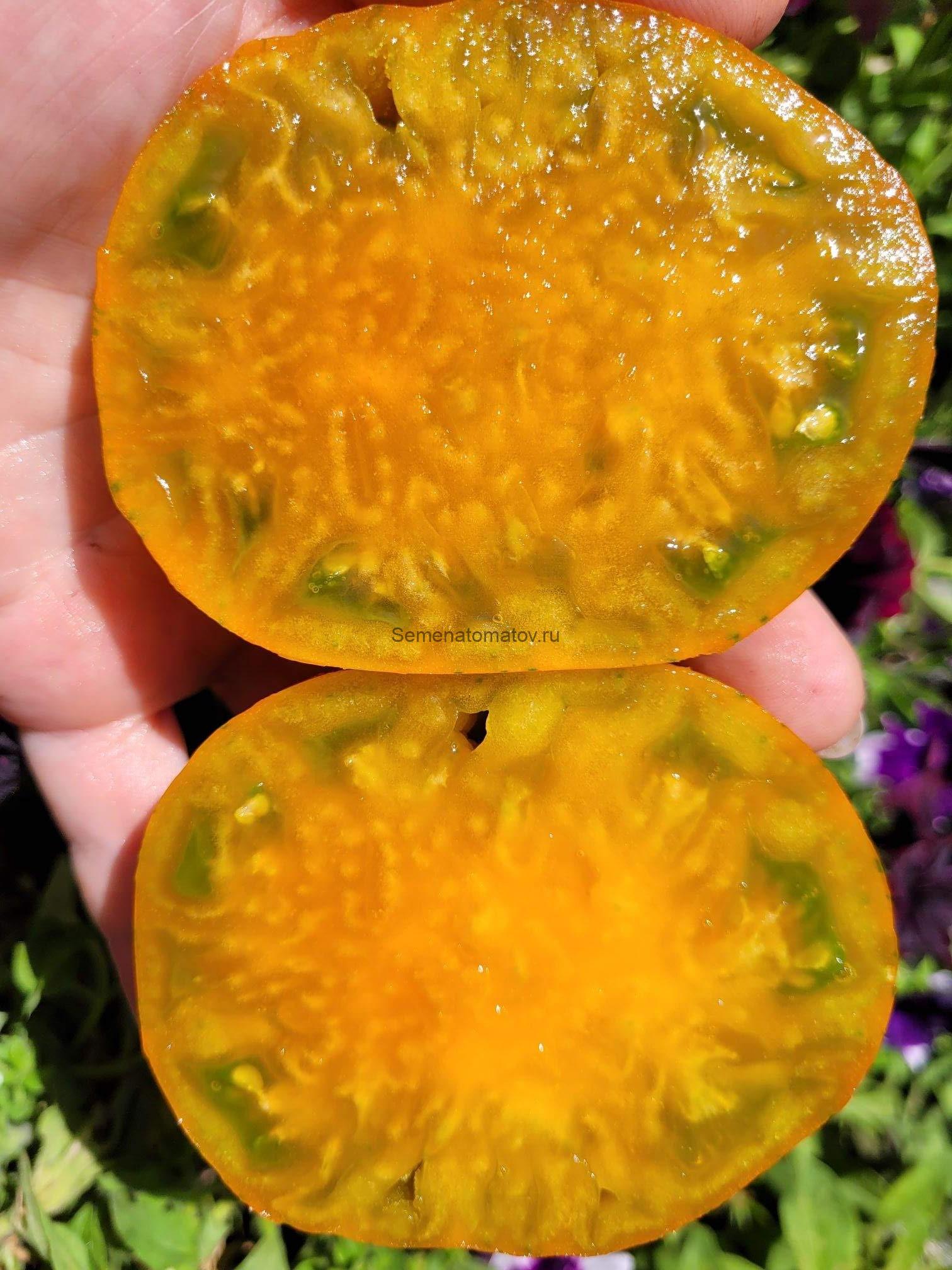 Kozula 45|1 — изображение 2