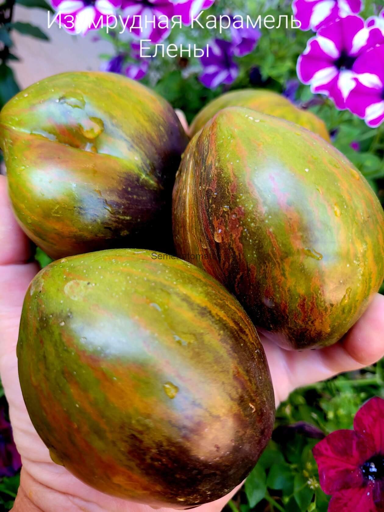 Изумрудная Карамель Елены
