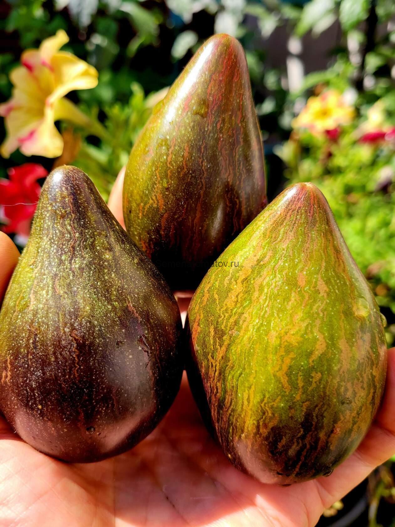 Изумрудная Карамель Елены — изображение 2