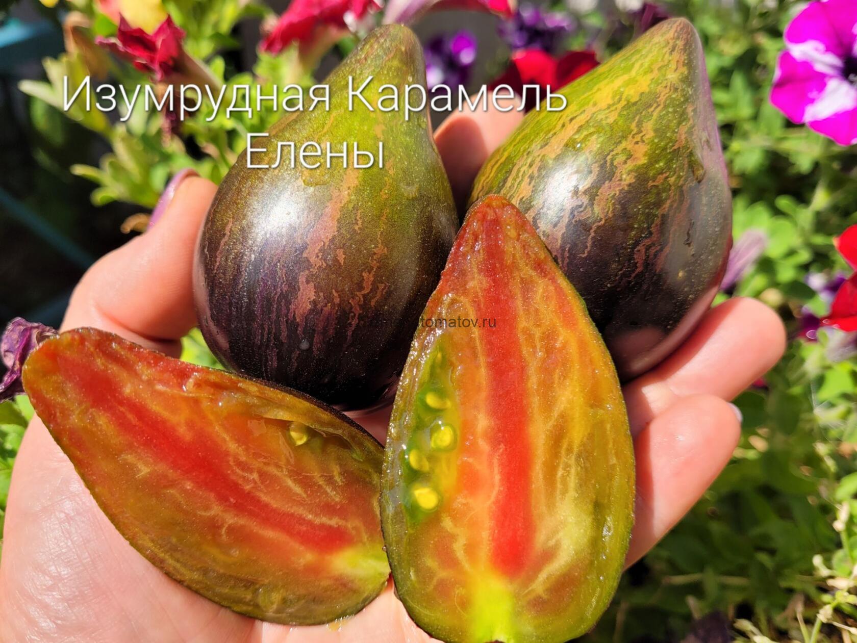 Изумрудная Карамель Елены — изображение 3