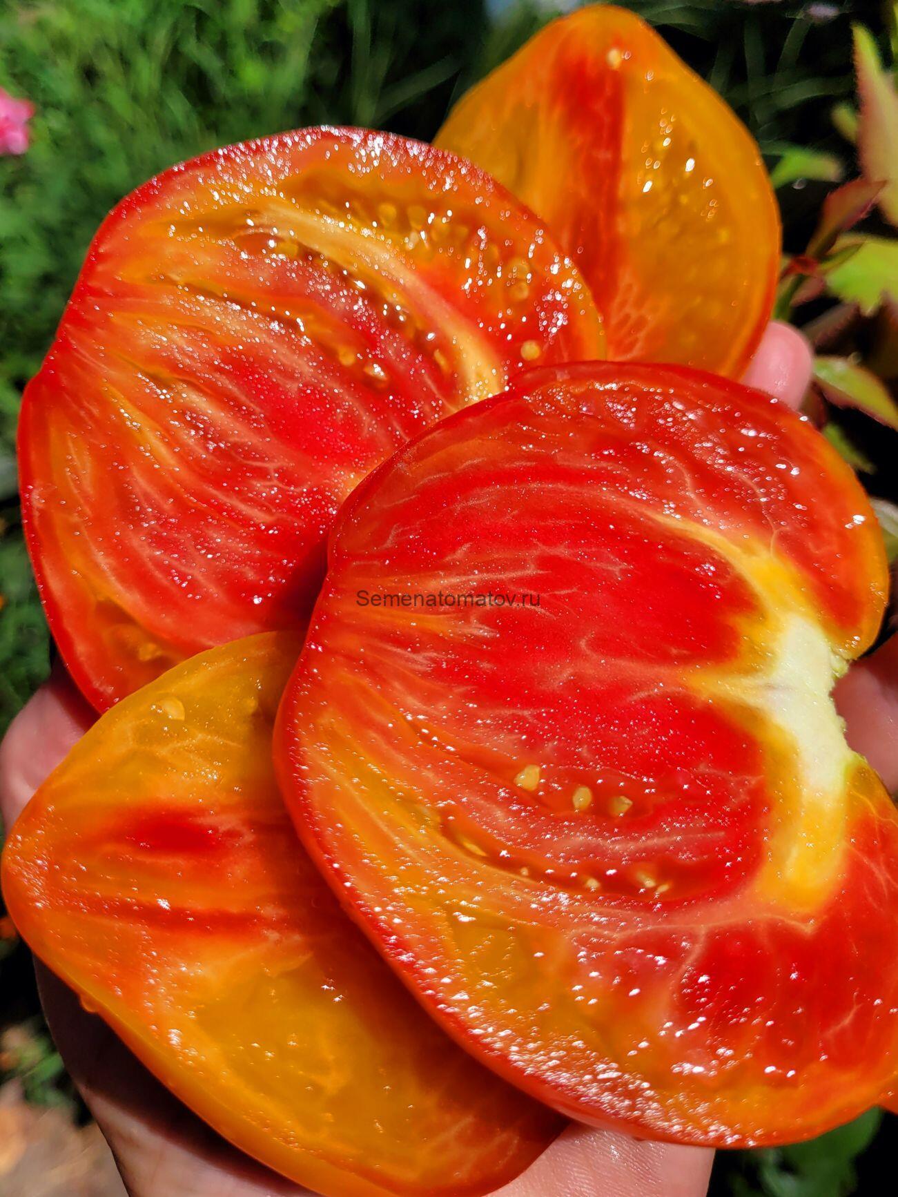 Ананасный Сержант Румянный — изображение 2