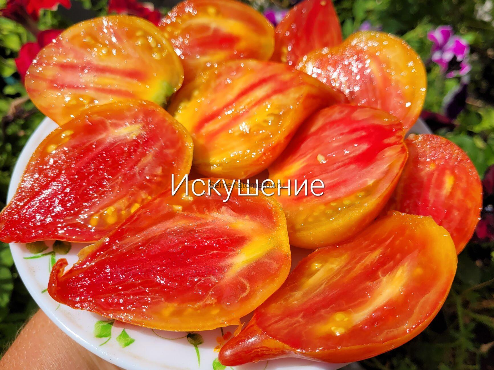 Искушение — изображение 2