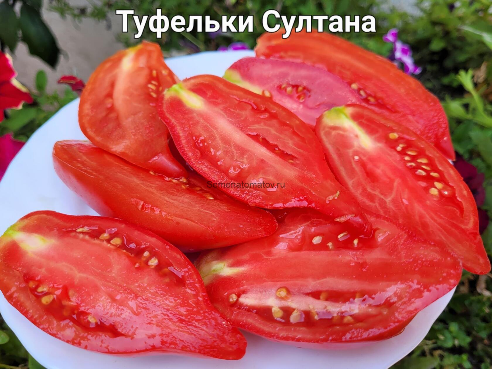 Туфельки Султана Ф5 — изображение 3