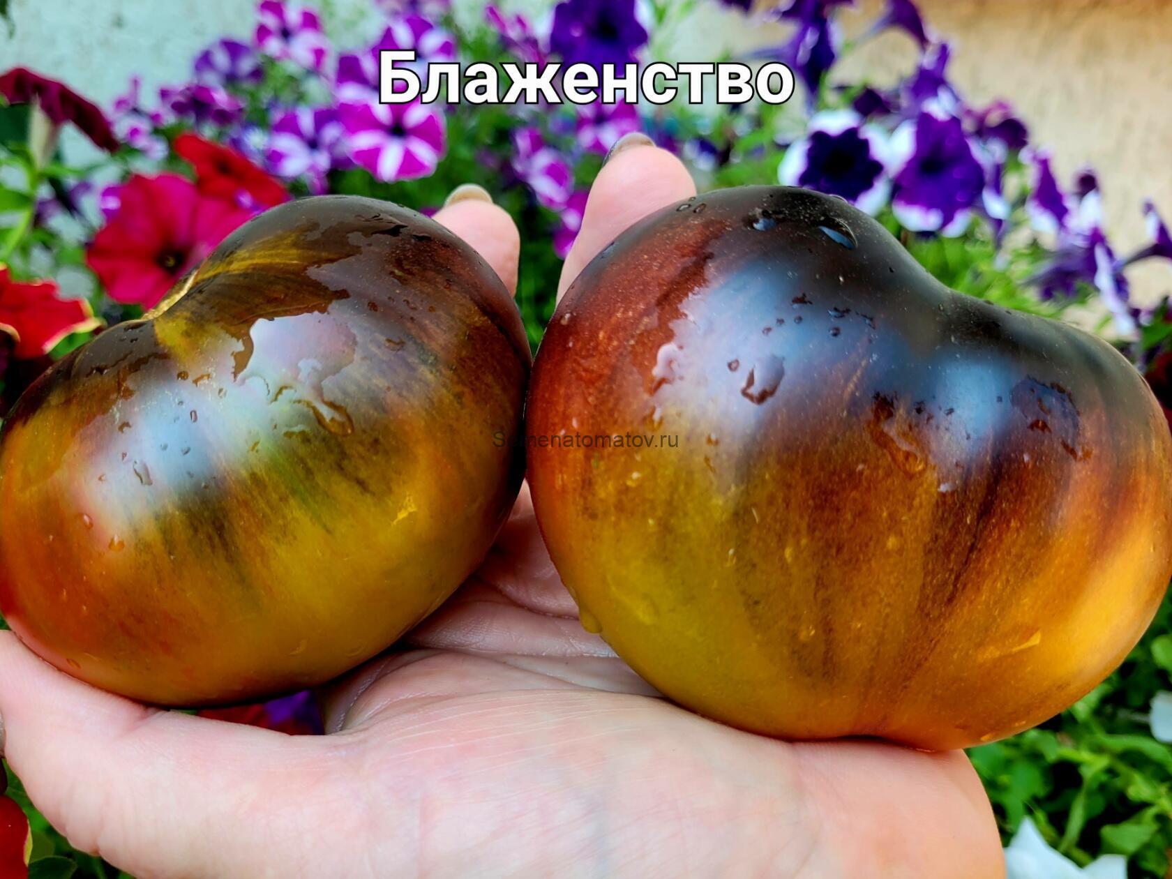 Блаженство