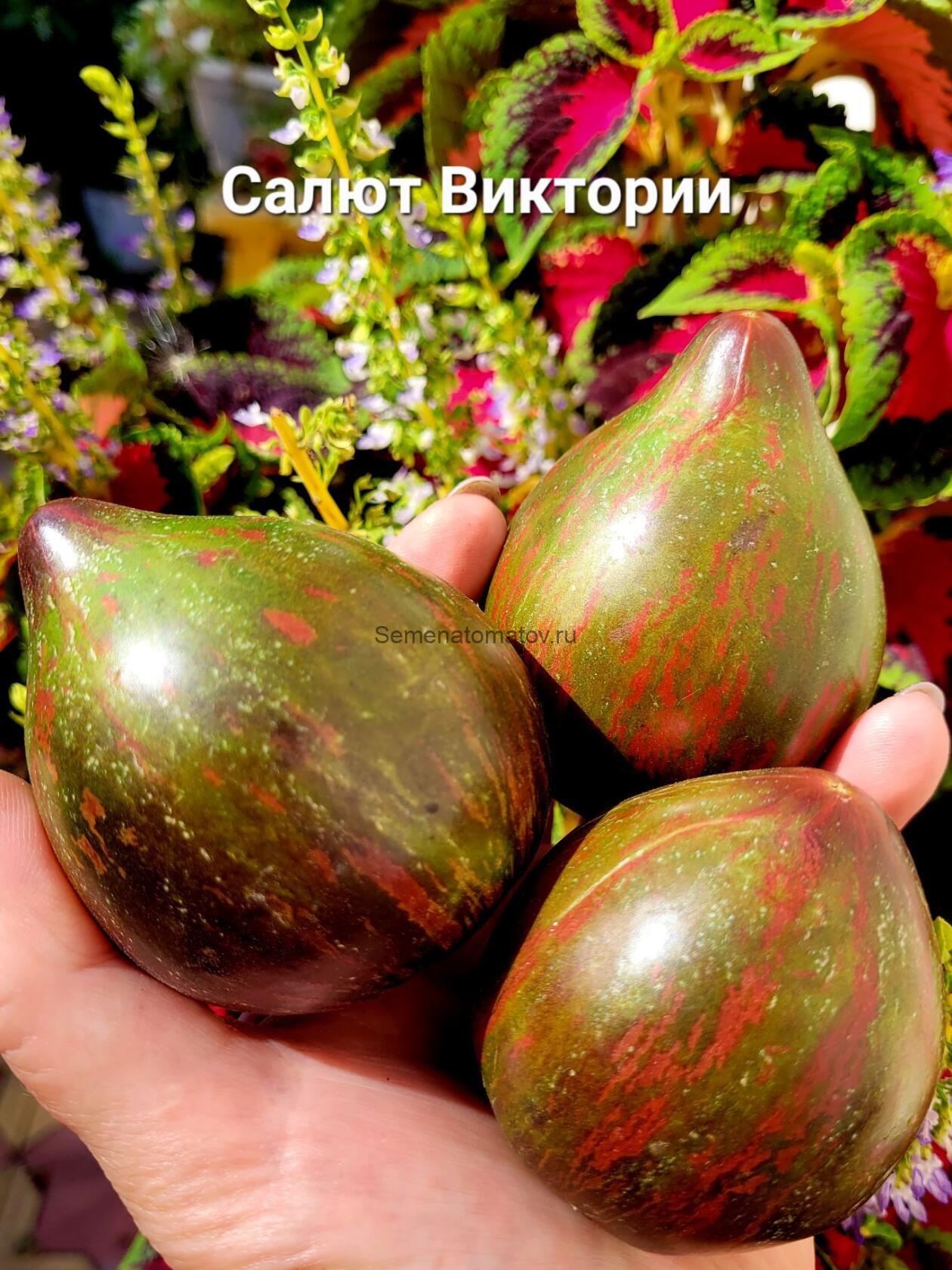 Салют Виктории