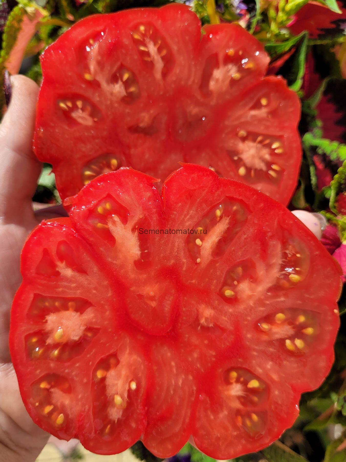 Basajaun. Басаджаун — изображение 2