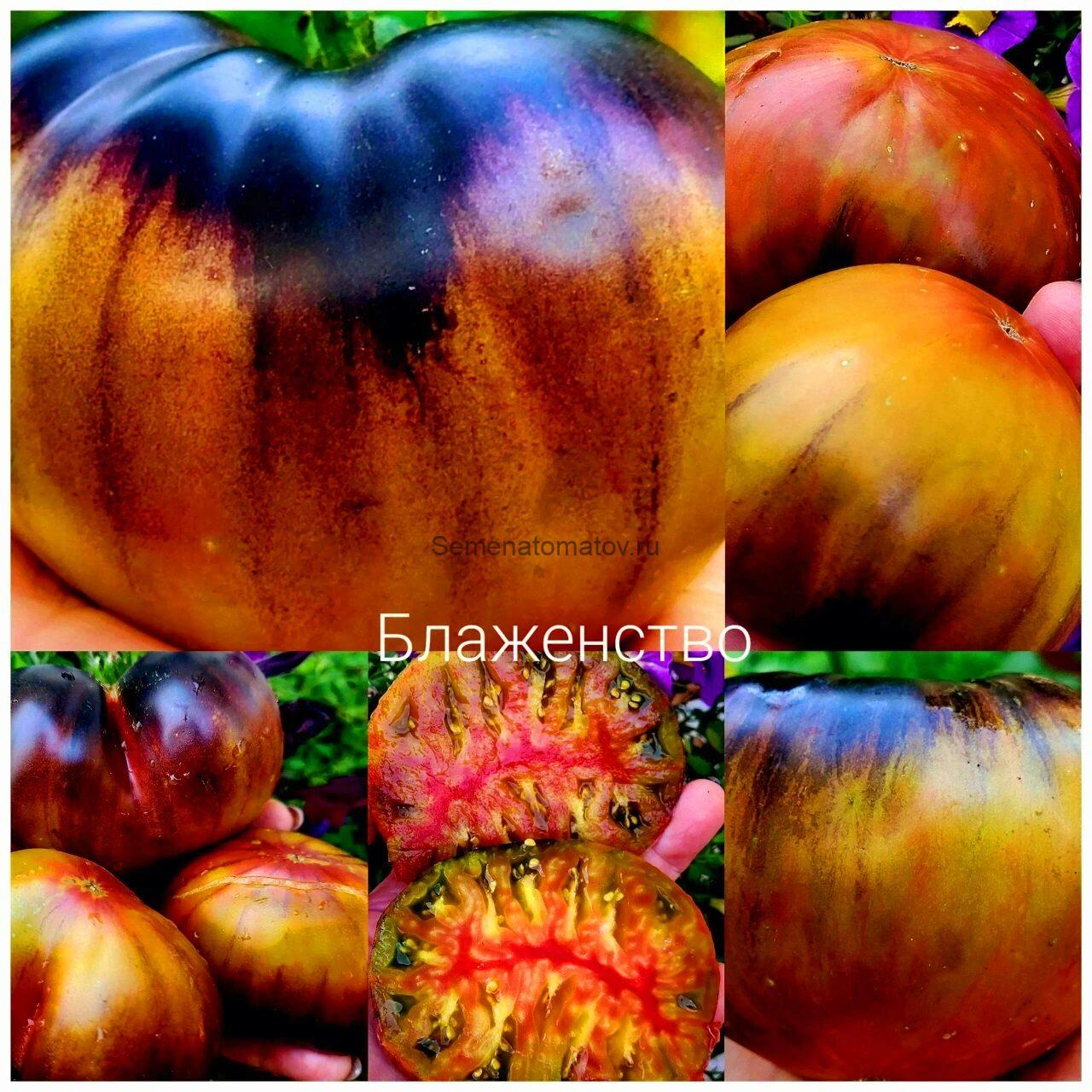 Блаженство — изображение 4