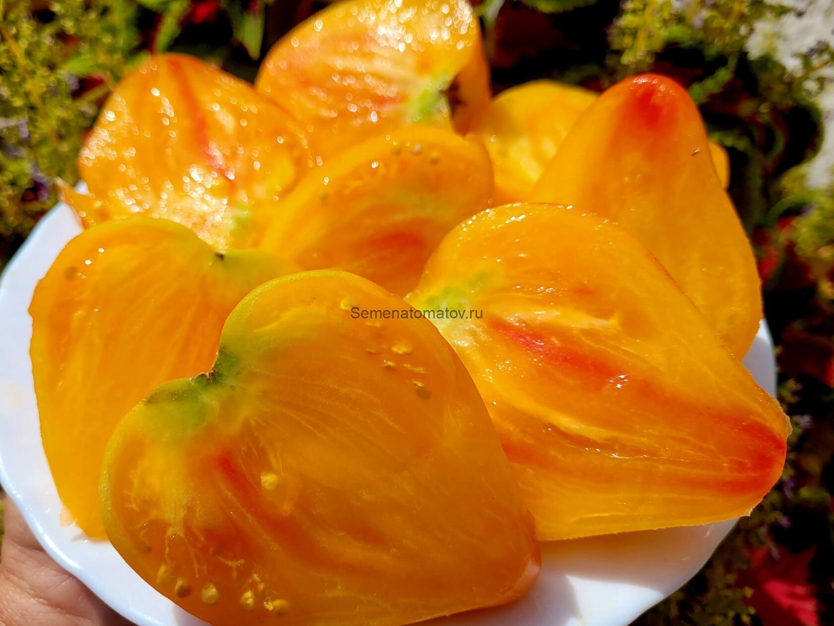 Ее Величество Бабушка — изображение 2