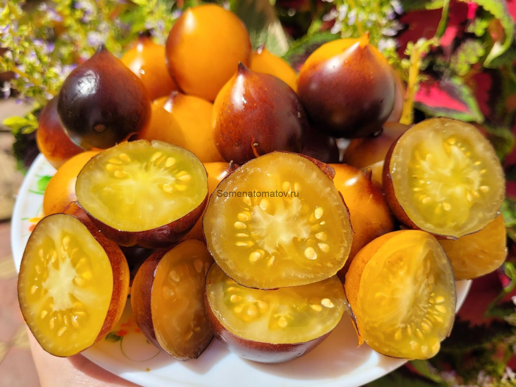 Фиолетовая Галактика — изображение 2