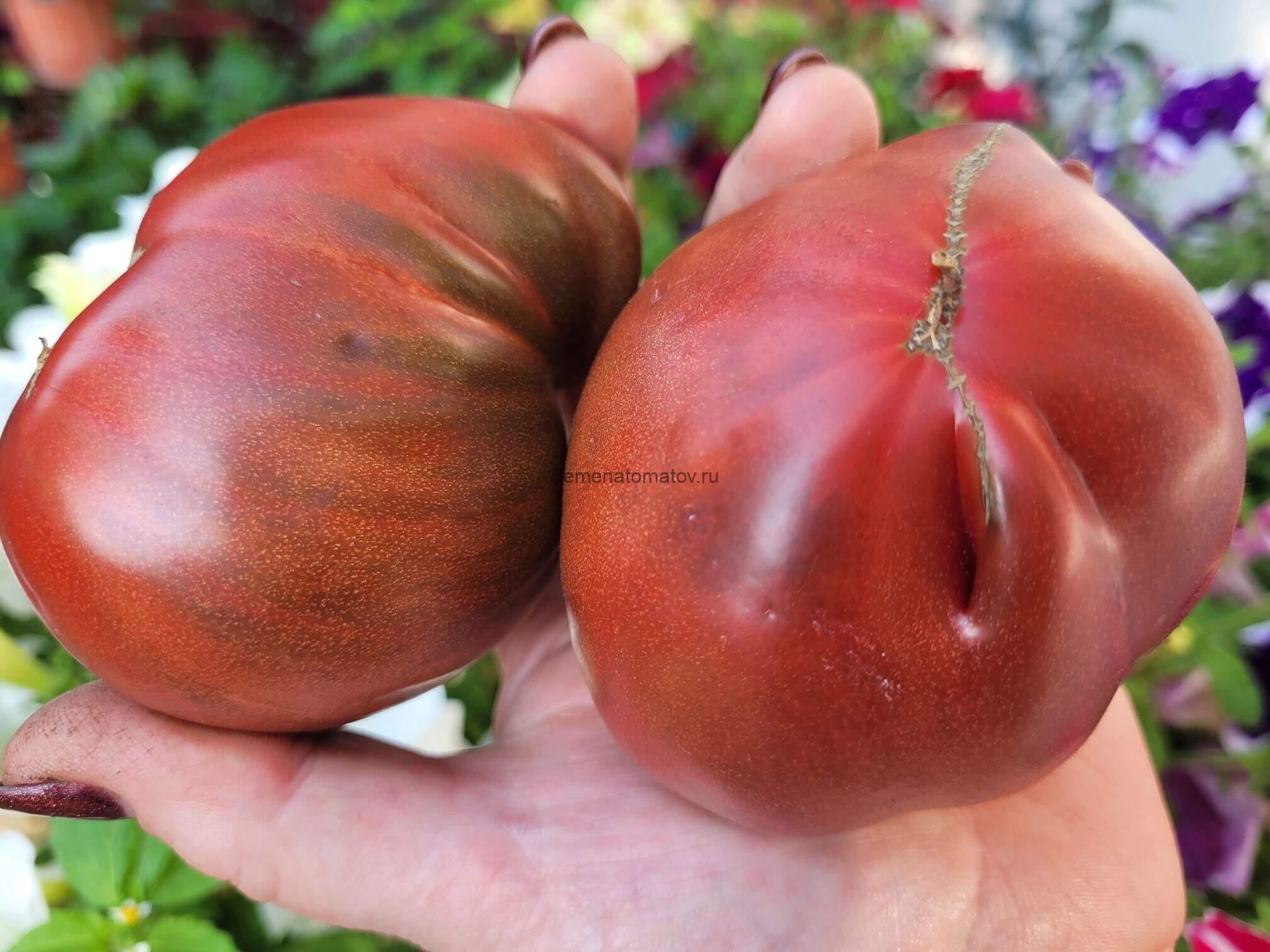 Black Heart Delirium -Черносердечный Делирий