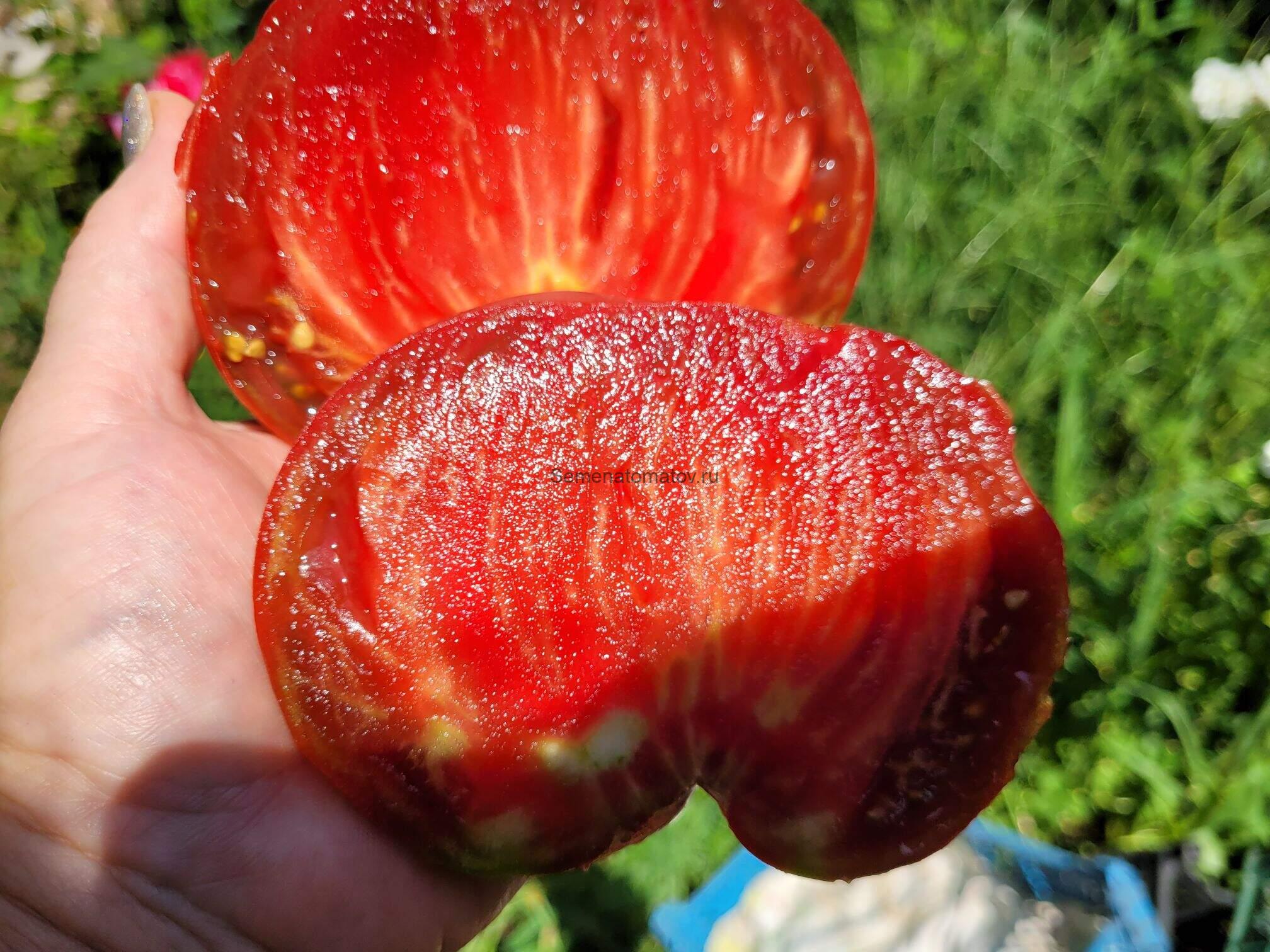 Black Heart Delirium -Черносердечный Делирий — изображение 2