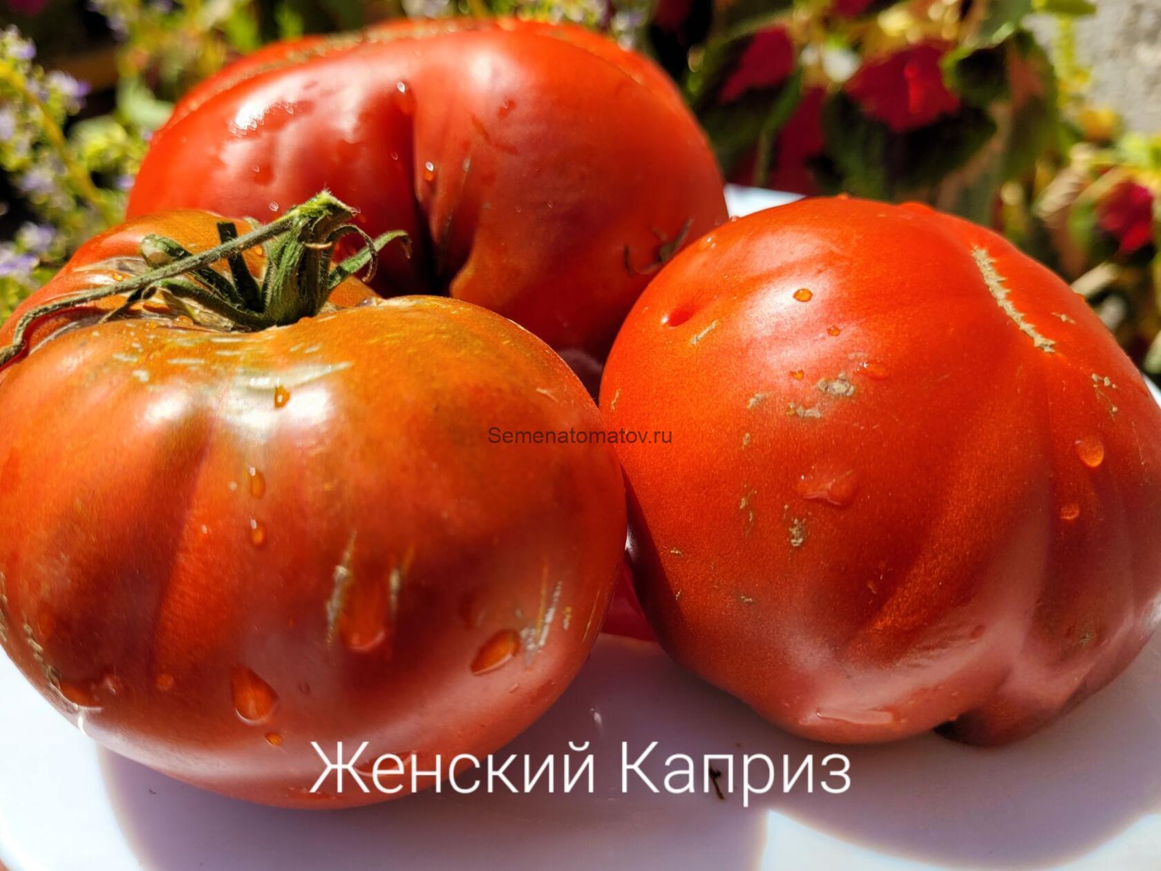 Женский Каприз Казахстан