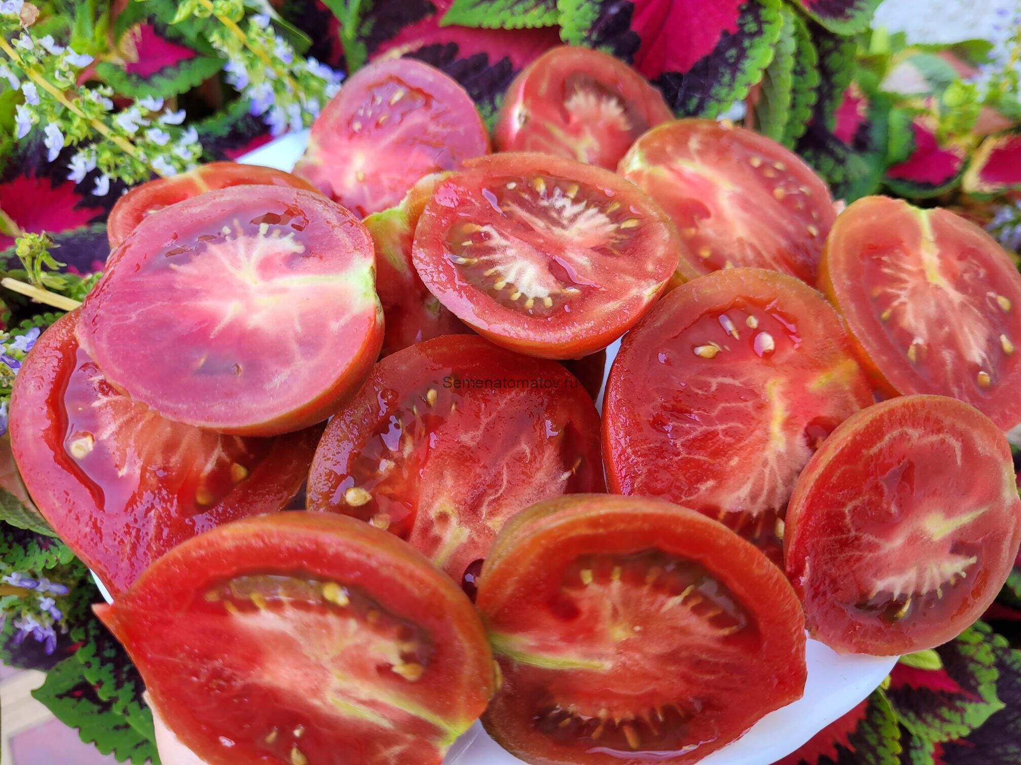 Зеленый рог (Green Horn) — изображение 2