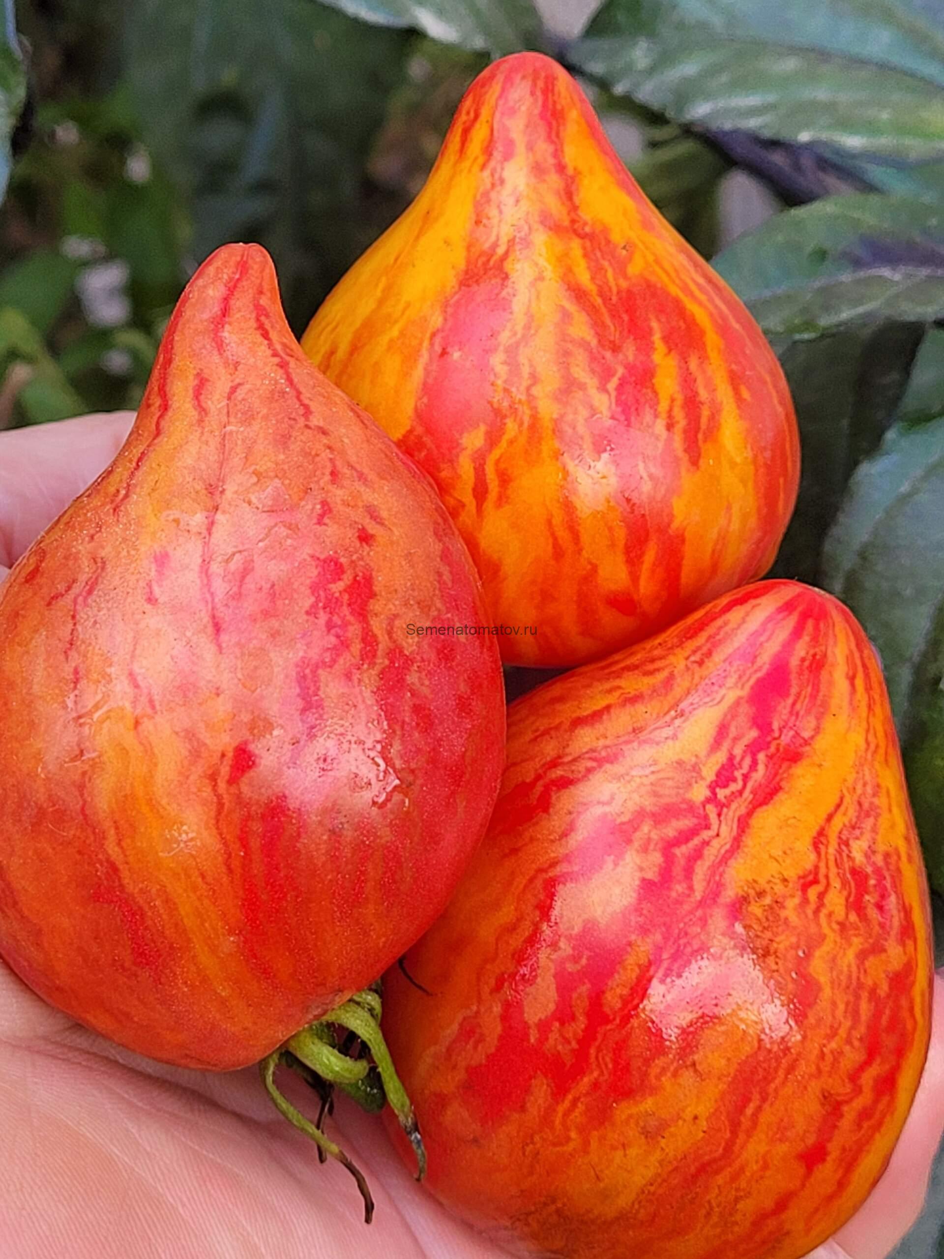 Искушение — изображение 6