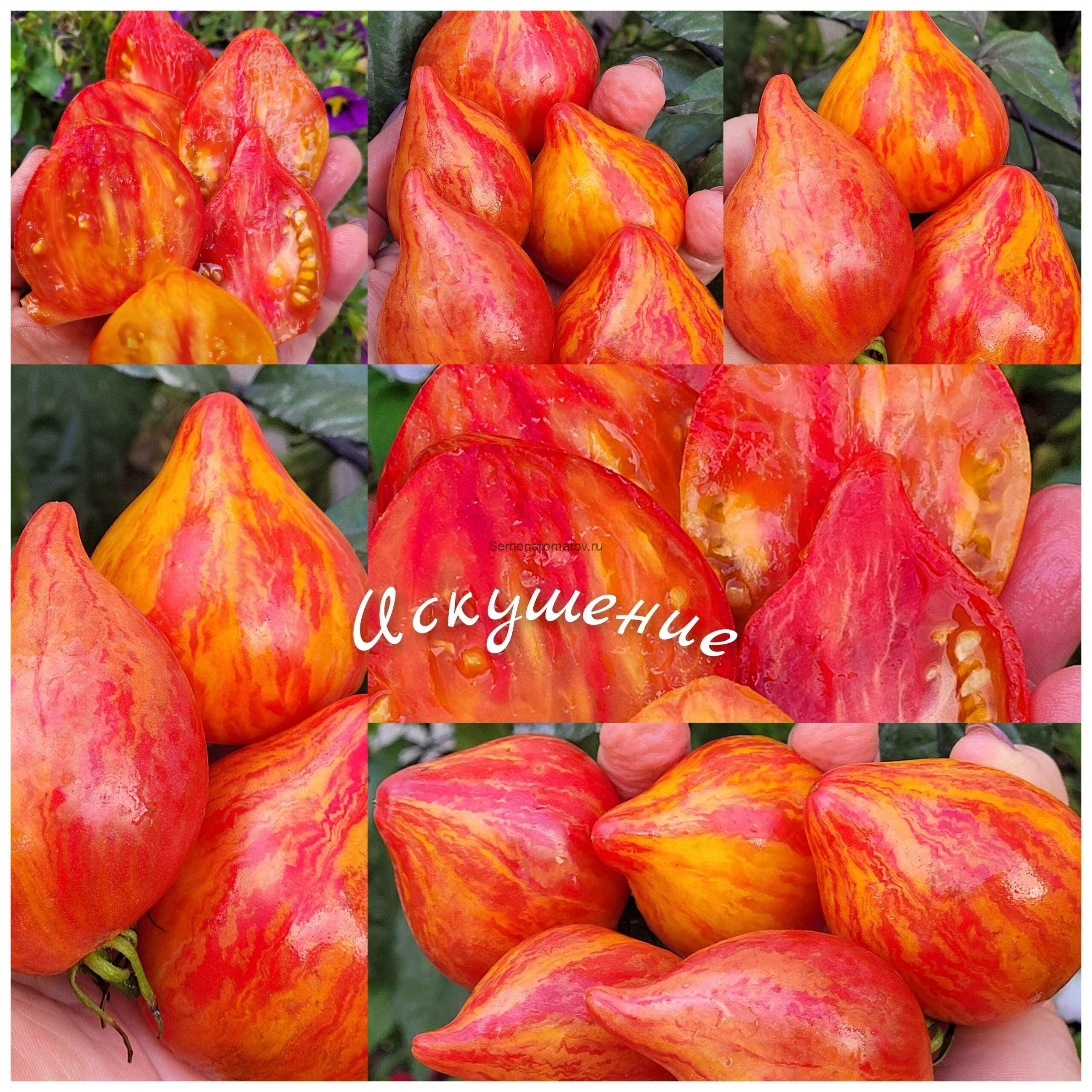 Искушение — изображение 5