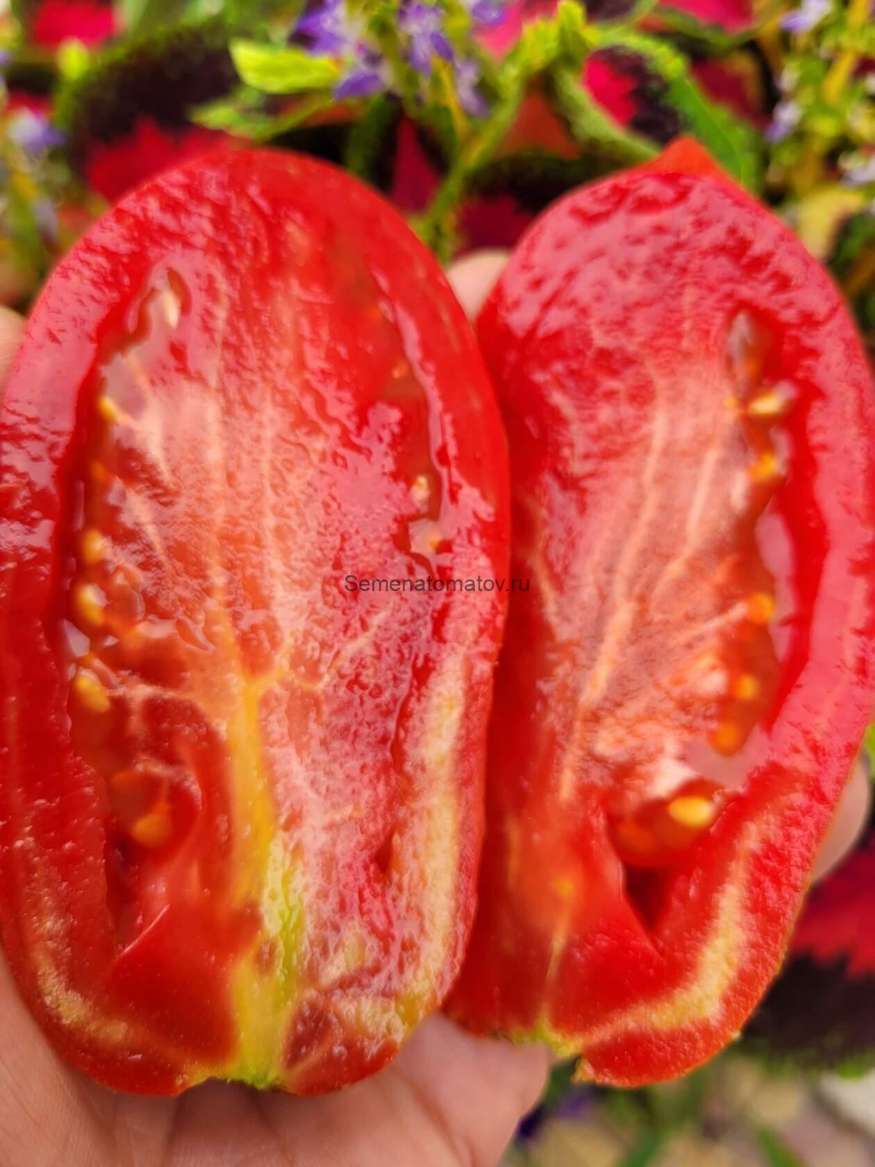 KAS 20 Кас 20 — изображение 2