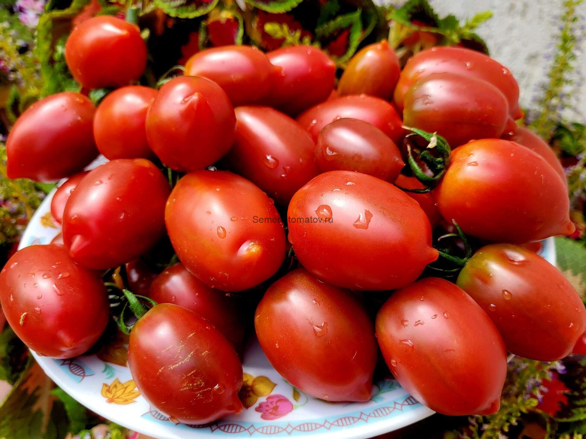 Лукум