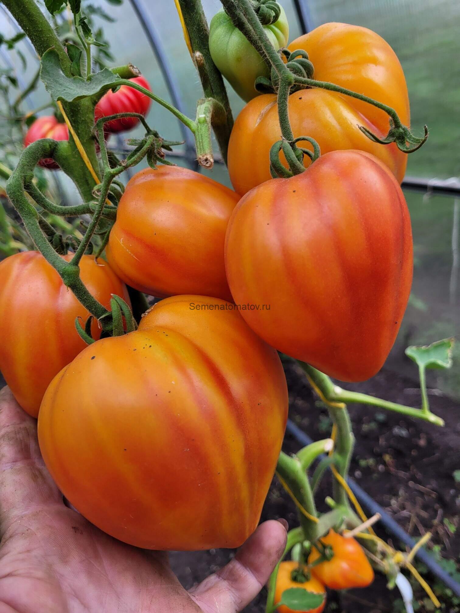 Мадрид — изображение 2