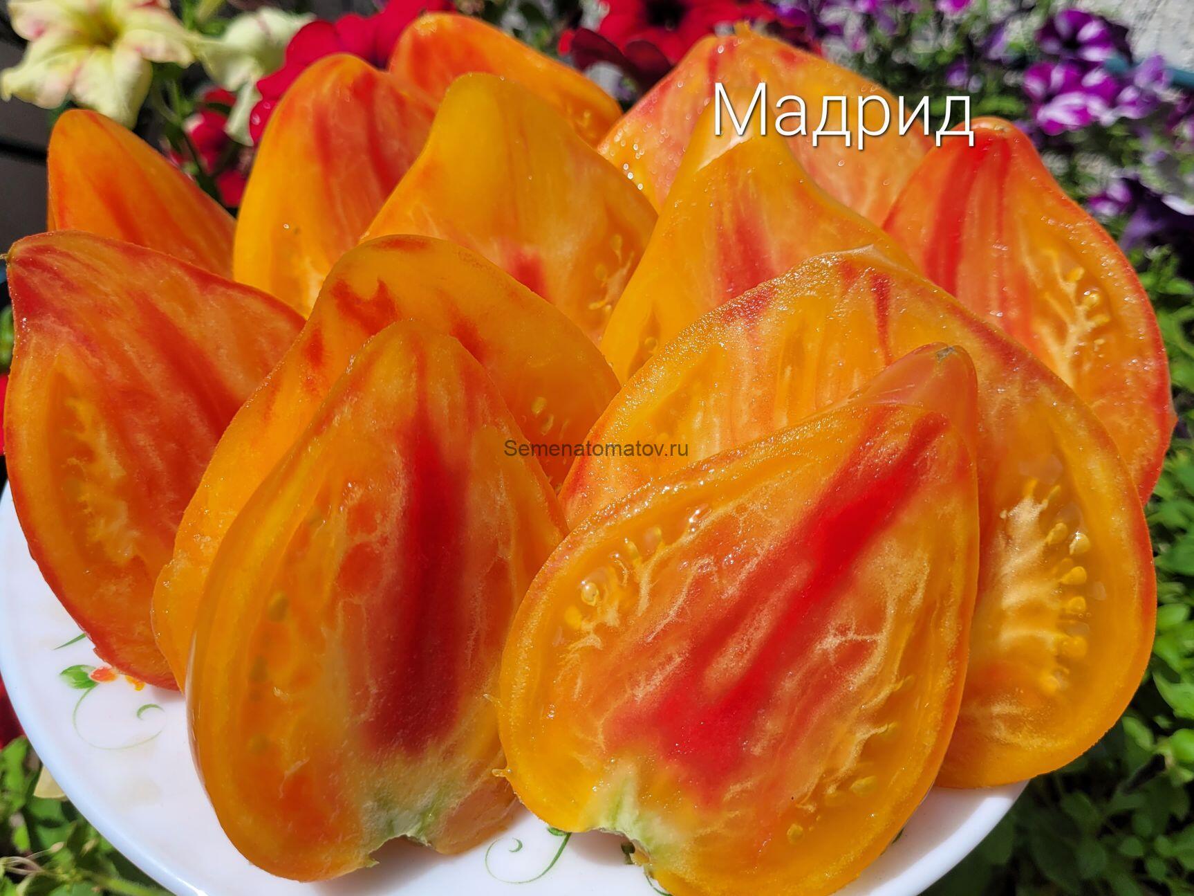 Мадрид — изображение 3