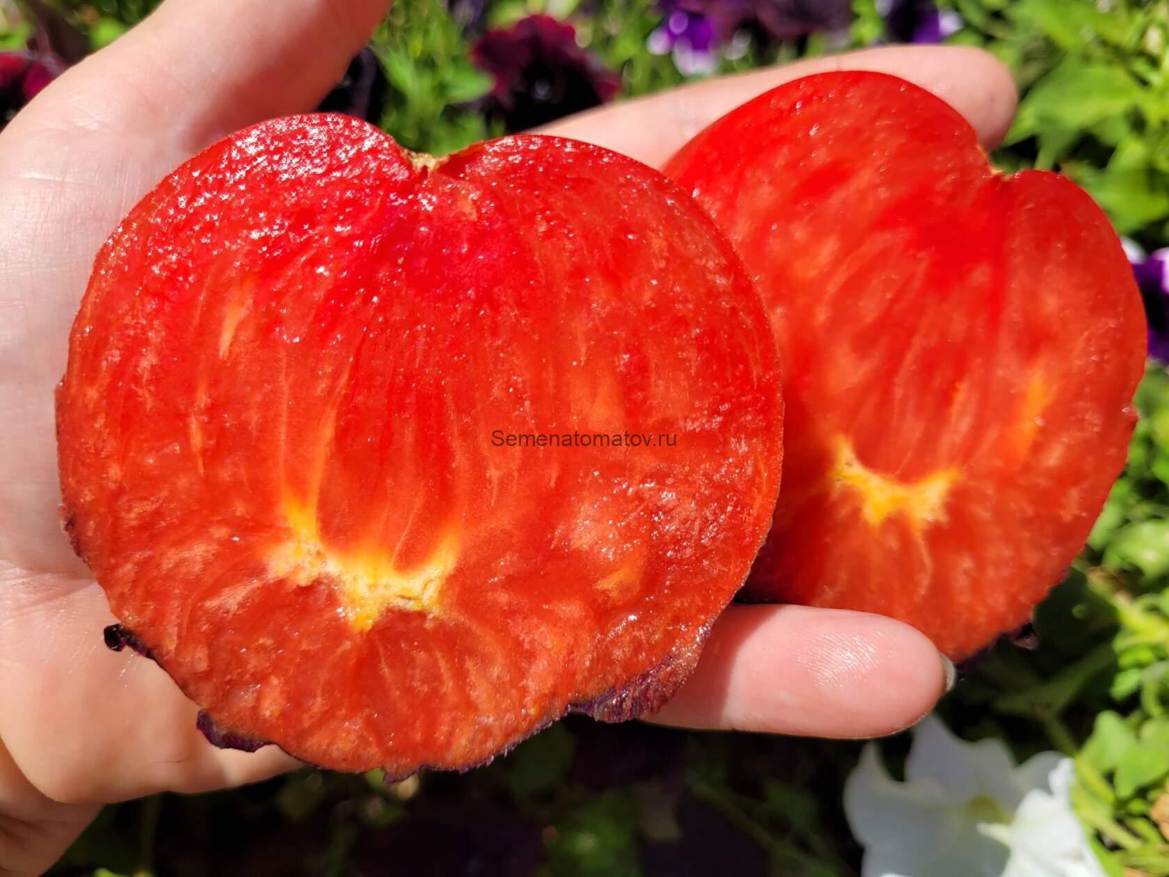 Младший Сержант — изображение 2