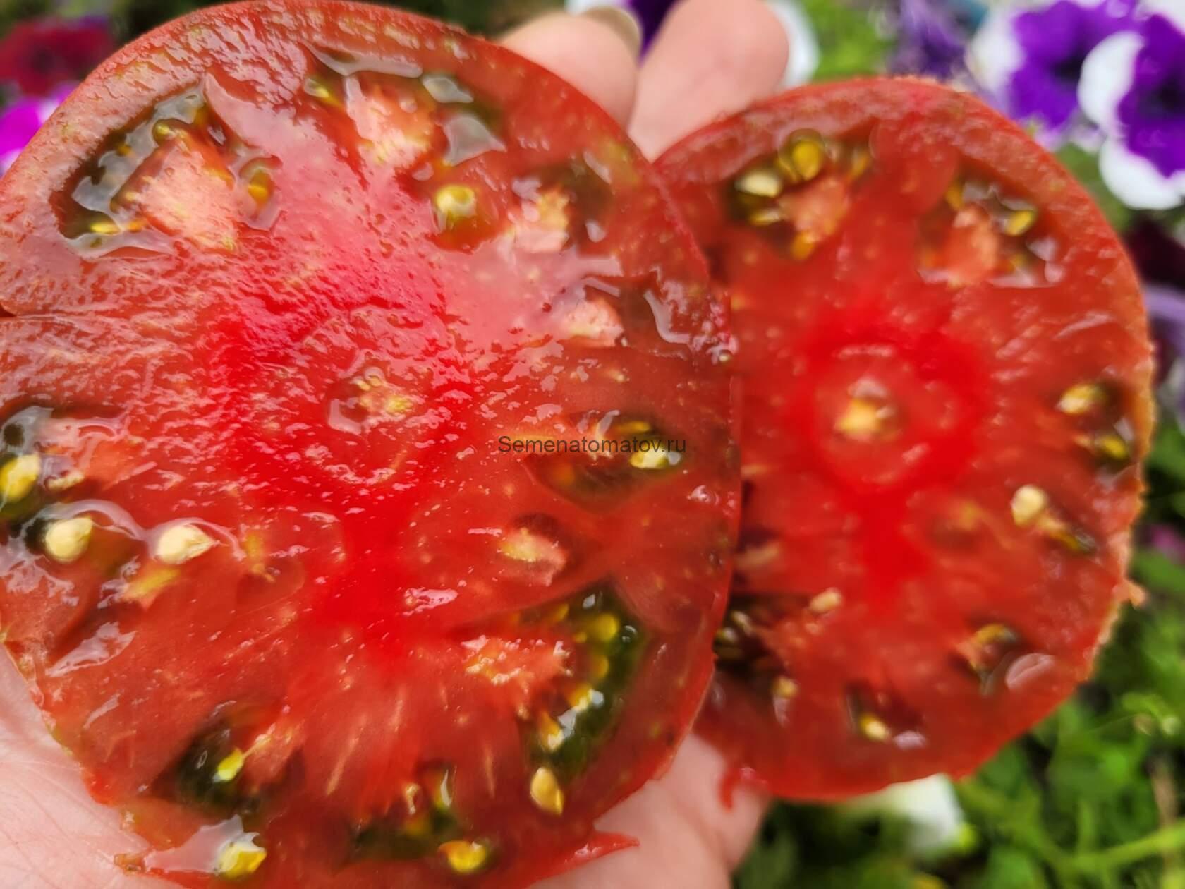 Marizol Maroon (Маризол Марун) — изображение 2