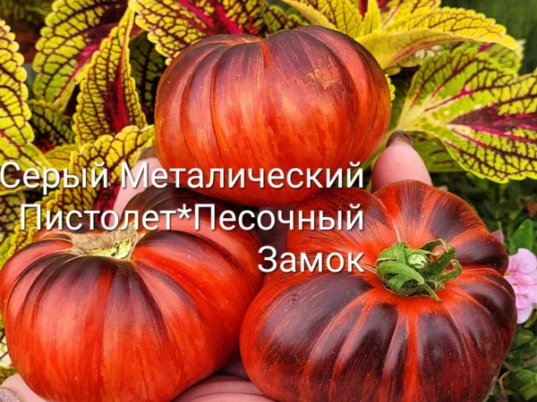 Серый Металический Пистолет+Песочный Замок — изображение 2