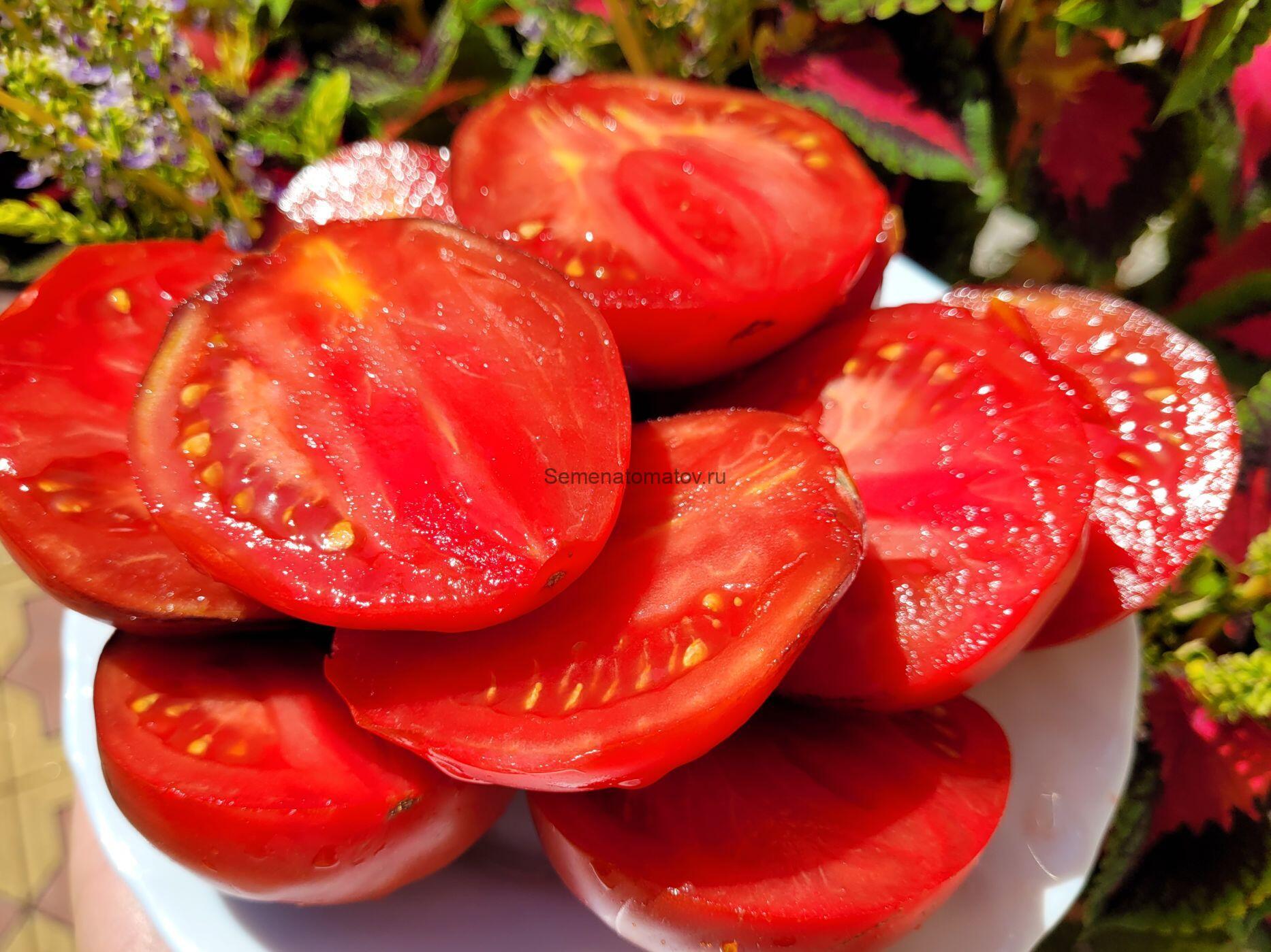 Бронзовые Носики Сержанта Пепперса — изображение 3