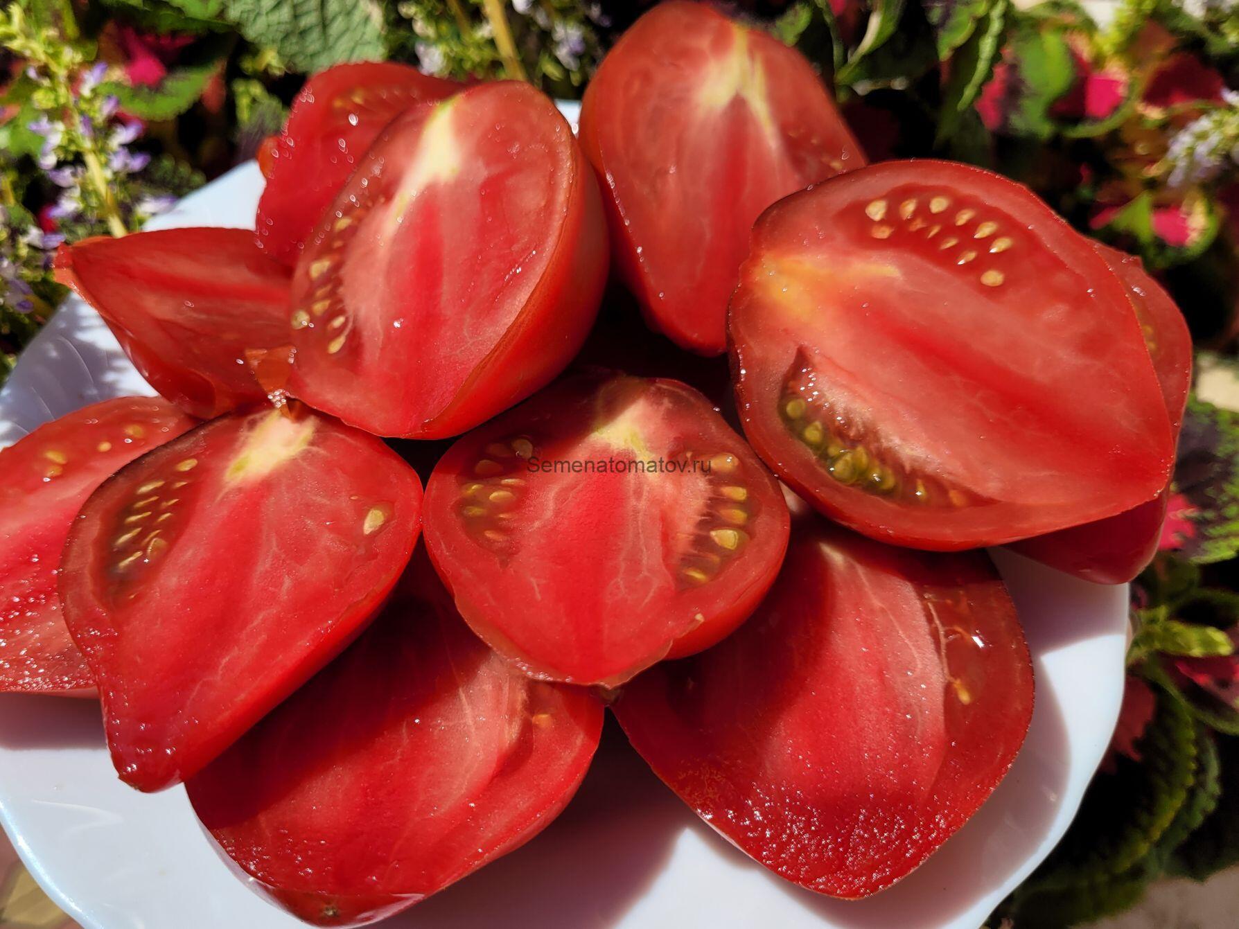 Малиновые Носики Сержанта Пеппера — изображение 3