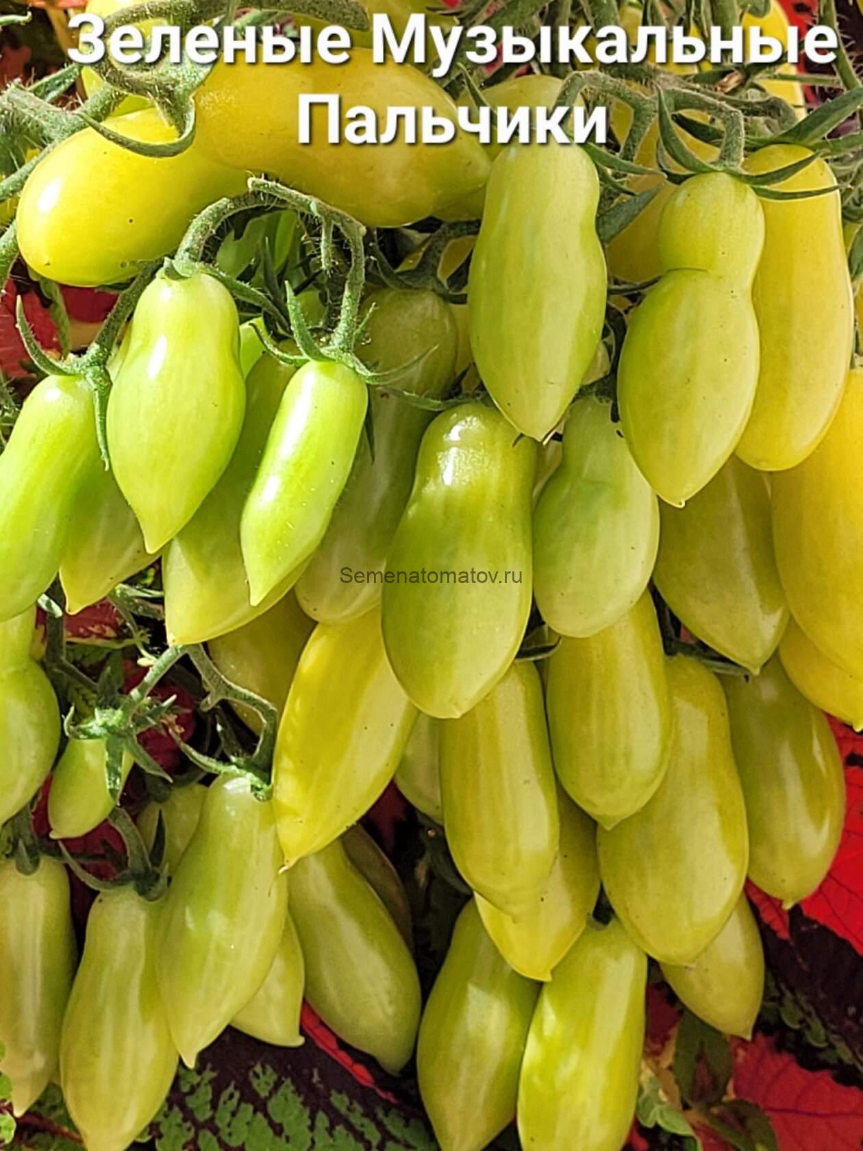 Мои Танцующие Зелёные Пальчики ( My Dancing Green Fingers )